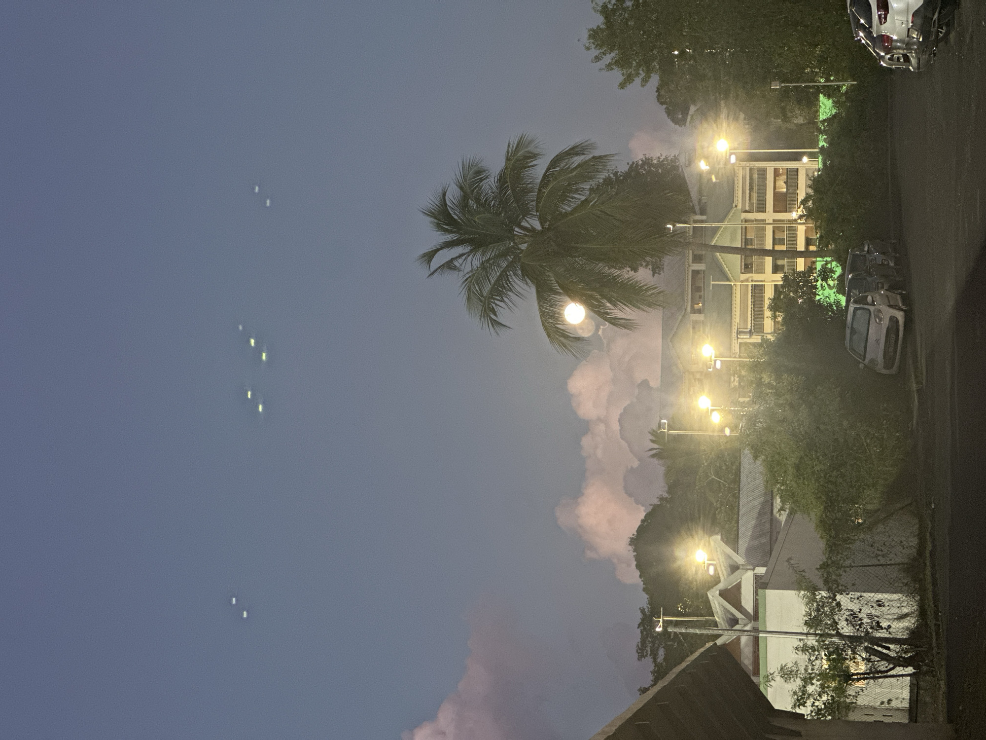 The image depicts an evening scene in Le Gosier, France. A palm tree dominates the center, illuminated by a street light, against a backdrop of partly cloudy skies with pinkish hues. Streetlights line a road with buildings, trees, and parked cars to the right of the frame. Above the palm tree on the left is a sequence of small lights.