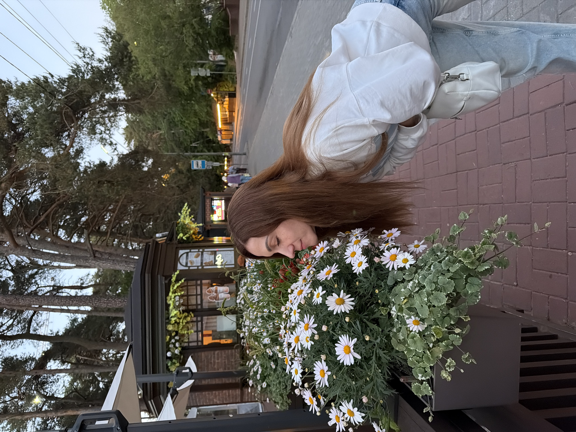 In an outdoor setting in Svetlogorsk, Russia, a woman with long, brown hair is bent over a planter filled with white daisies. She is wearing a white long-sleeved shirt and light-wash jeans, and a small white crossbody bag is slung over her shoulder. The planter is situated on a brick-paved walkway. In the background, there are trees, a street with a few cars and streetlights, and a small building with awnings that appears to be a kiosk or cafe. The overall lighting suggests it is dusk or early evening.