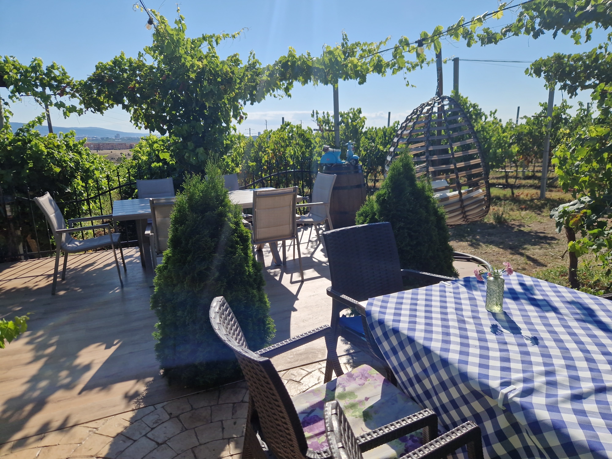 The image shows an outdoor seating area at a winery in Tankovo, Bulgaria. In the foreground, a table covered with a blue and white checkered tablecloth is set with a small vase of pink flowers. Surrounding the table are several wicker chairs, one of which has a floral-patterned cushion. Beyond this table, another set of chairs and a table are visible, and a large hanging woven chair is suspended from a frame. The seating area is situated on a paved patio amidst rows of grapevines, with the sun casting dappled shadows. In the distance, hills and some buildings can be seen under a clear blue sky.