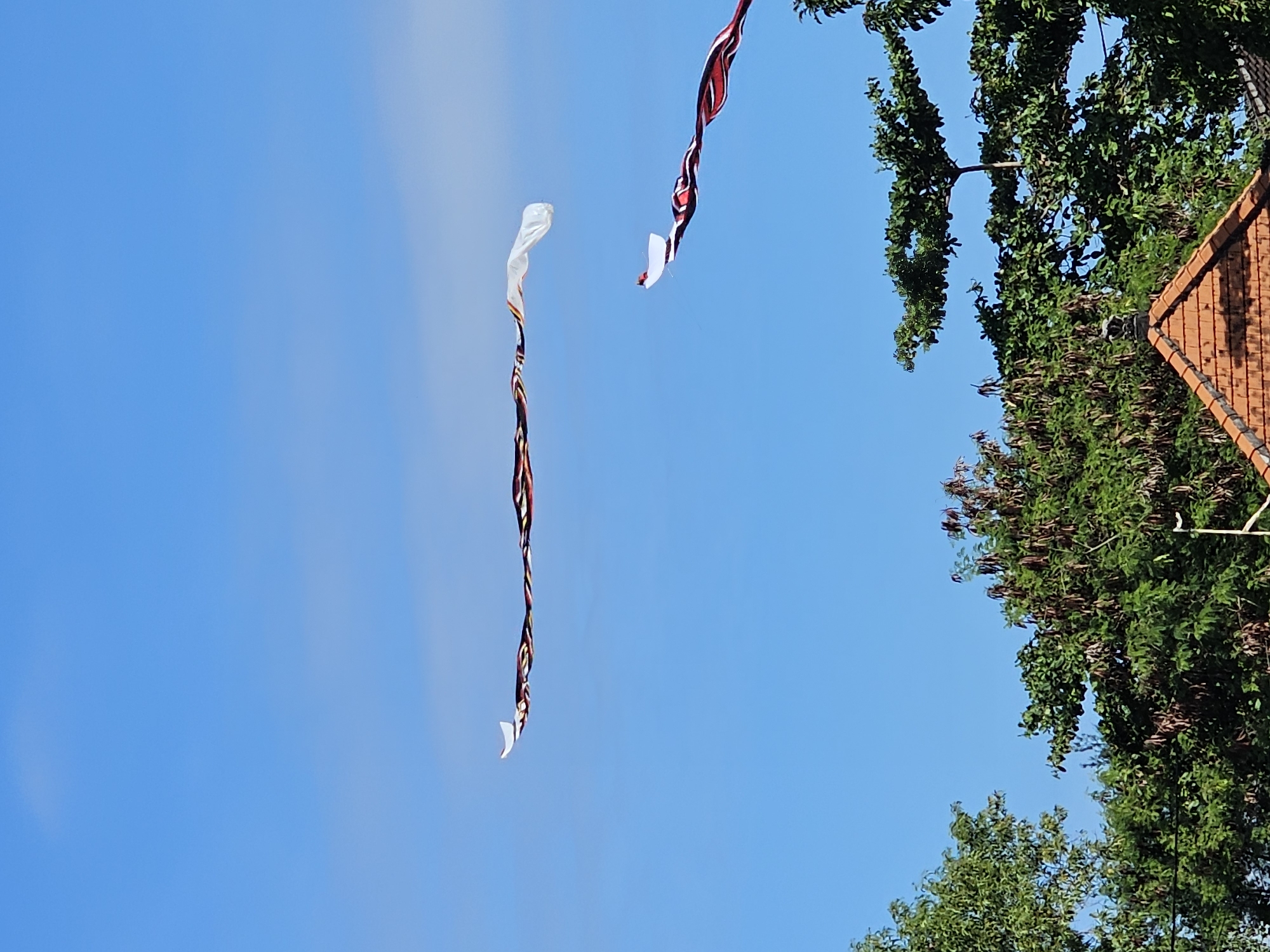 The image shows two long, slender, twisted strands of fabric suspended in the air against a clear blue sky. The strand on the left is predominantly white, intertwined with thin lines of brown and black. The strand on the right displays a recurring pattern of red, white, and black. In the upper right corner, there's a partial view of green trees and a section of an orange-tiled roof.
The photo was taken in the city of Denpasar, Indonesia.