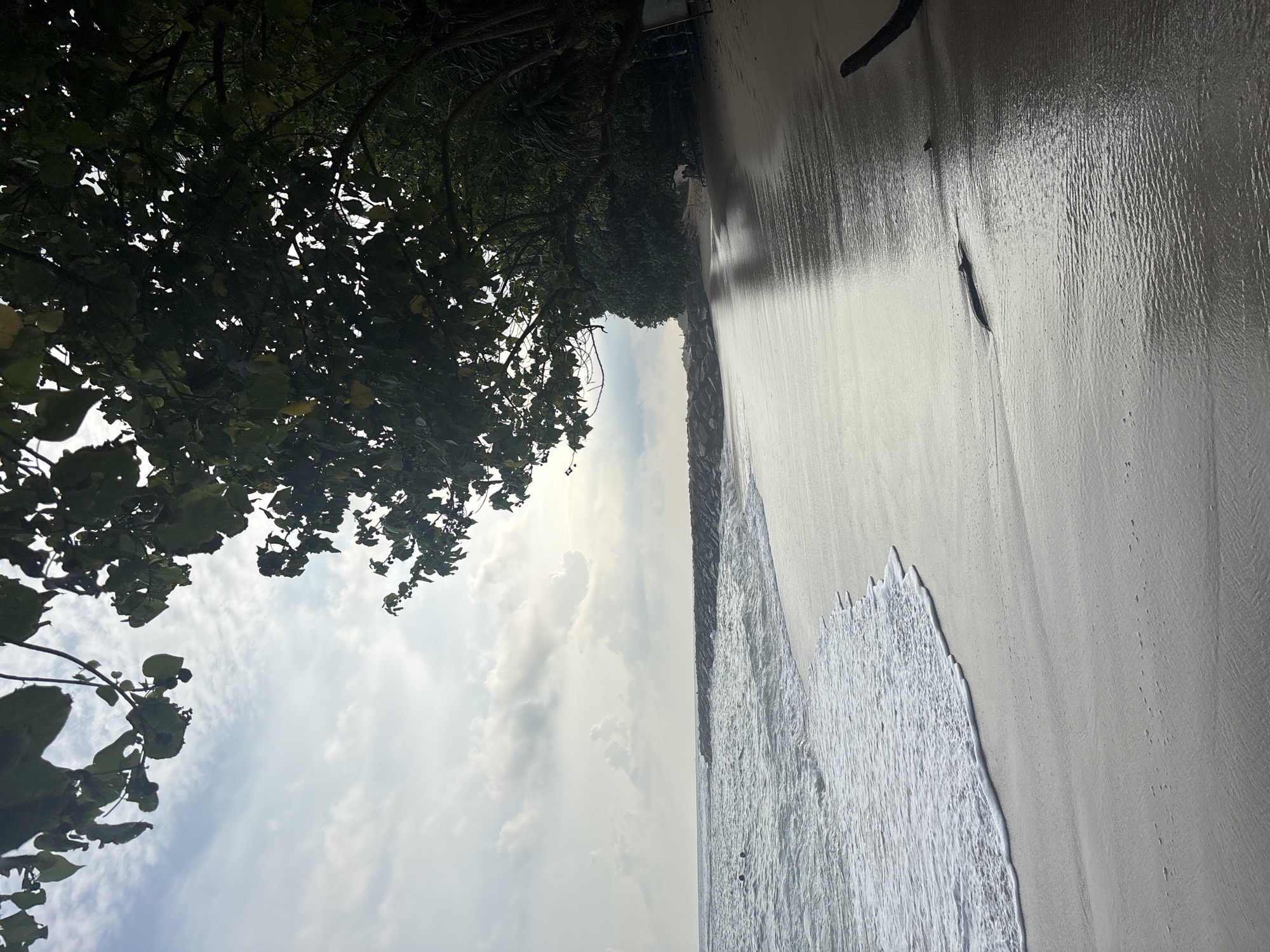 The image shows a beach in Thalaramba, Sri Lanka. The shoreline is visible with waves washing onto the sand. Lush green trees are present along the edge of the beach, creating a border between the sand and vegetation. The sky is cloudy.