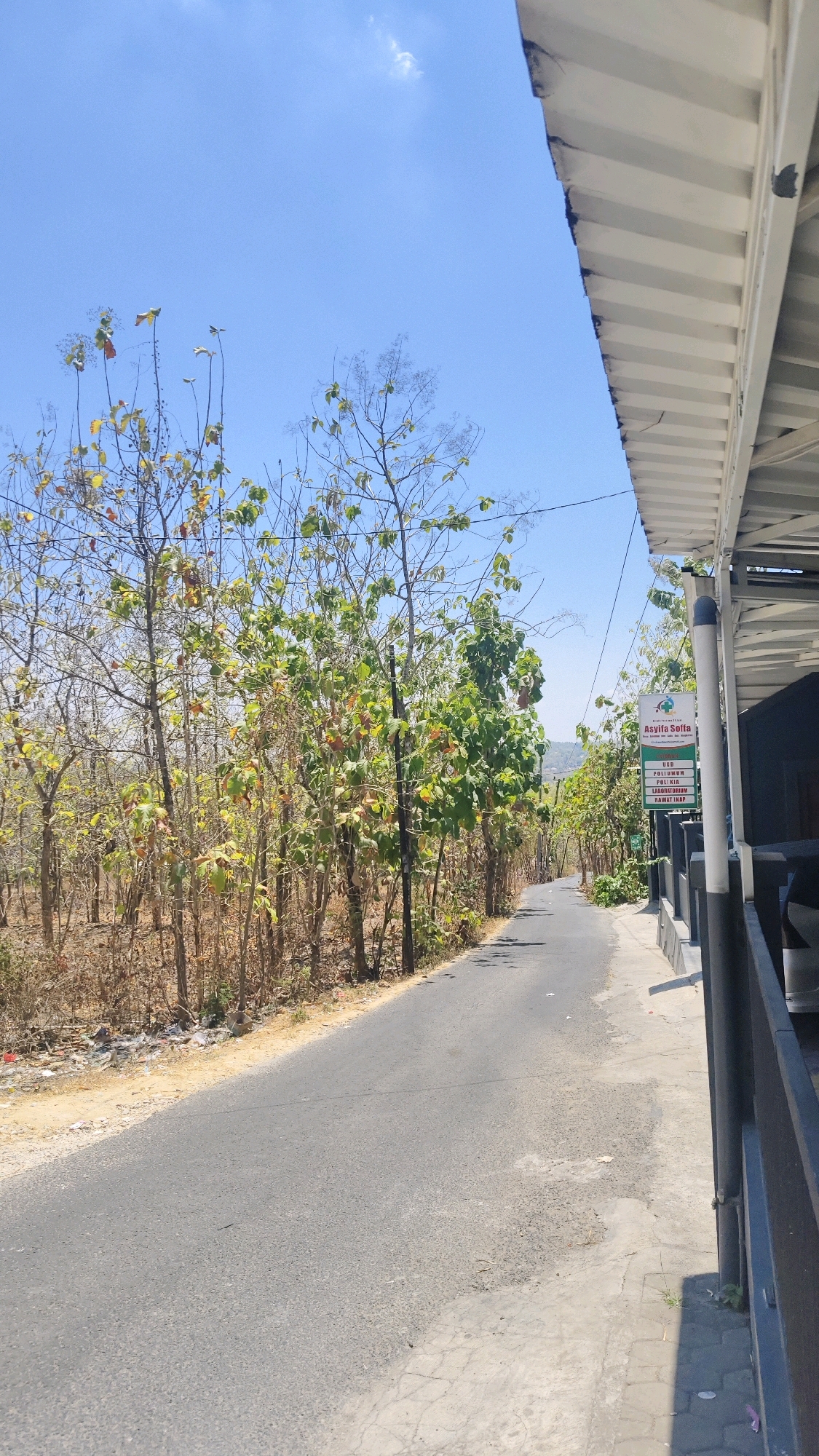 The image depicts a paved road leading through a sparsely vegetated area under a clear blue sky. On the right side of the road, a building with a white, ribbed awning is visible, along with a dark fence and a sign that reads "Asyifa Solfa". The sign also lists services such as "UGD", "Poliklinik", "Kalia", "Laboratorium", and "Rawat Inap", suggesting it is a healthcare facility. The left side of the road is lined with trees, some of which appear dry or in the process of shedding leaves, indicative of a dry season. The ground beside the road on the left is covered with dry grass and some litter. The scene appears to be an outdoor environment in a semi-urban or rural setting, possibly a street in a small town or village in Indonesia, given the presence of a facility with Indonesian text on its signage.