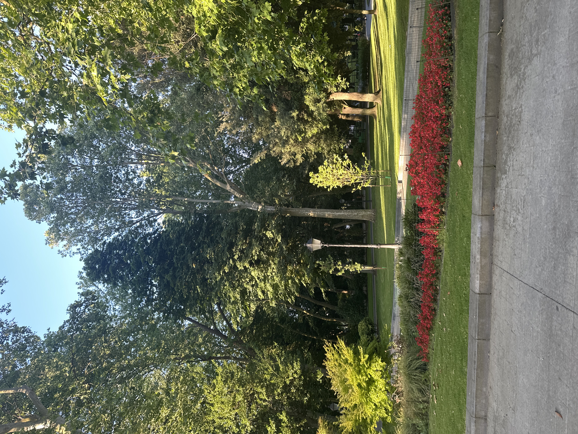The image shows a park in Oviedo, Spain. In the foreground, there is a paved walkway with a concrete curb separating it from a grassy area. Beyond the grass, a bed of vibrant red flowers is visible, bordered by a low metal fence. Further back, a lamppost stands tall in a sun-dappled lawn. The park is filled with lush green trees of various sizes, some casting long shadows on the grass. The sky is a clear blue. The scene suggests a peaceful day in an urban park setting, with the sunlight highlighting the natural beauty of the foliage and flowers.