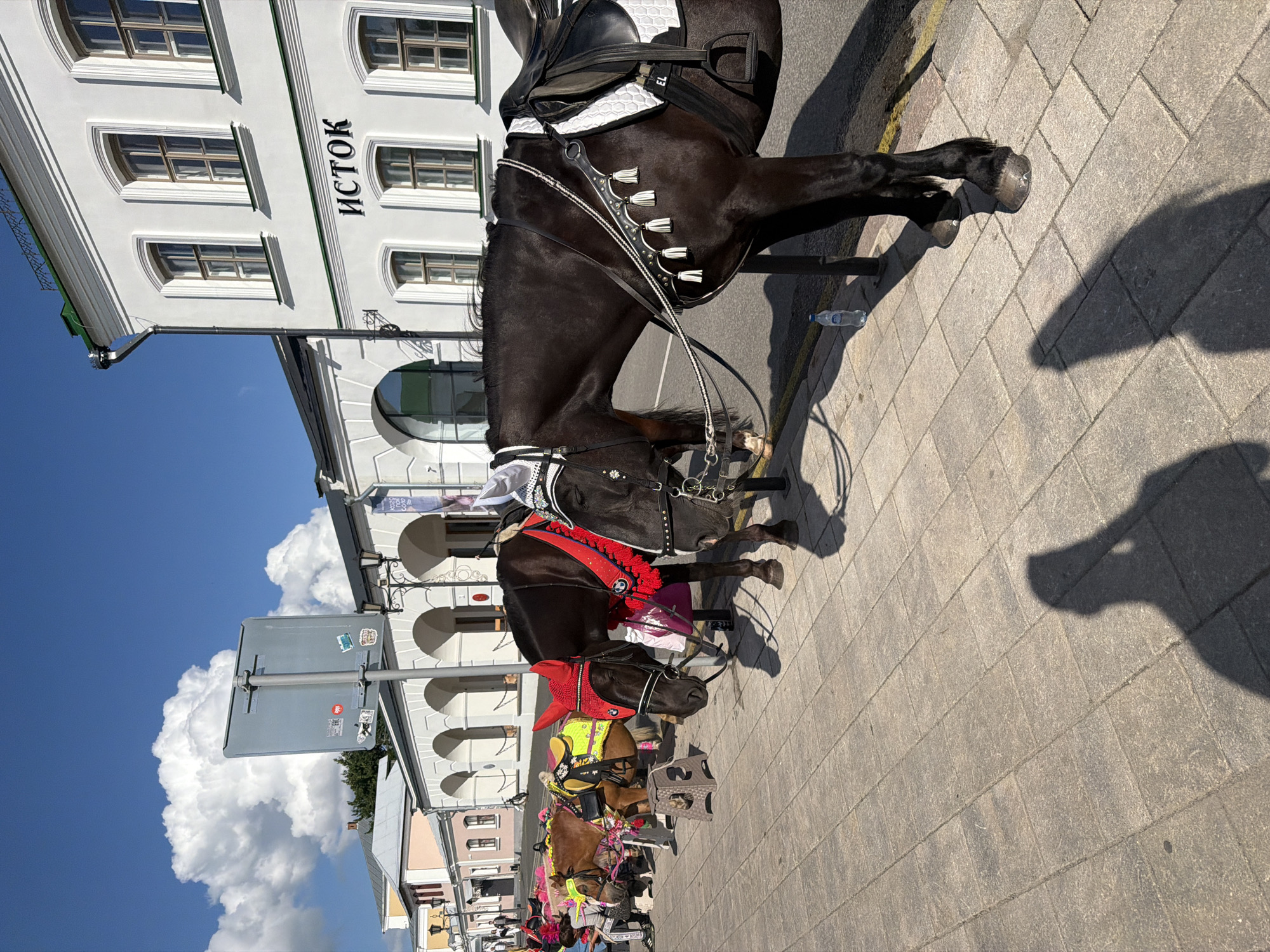 In Suzdal, Russia, a line of horses, adorned with decorative tack, are positioned on a stone-paved sidewalk adjacent to a street. The horses are mostly dark-colored, with one lighter brown horse at the beginning of the line. They are equipped with saddles and bridles, and some have brightly colored coverings. The backdrop features a white building with arched windows and signage that reads "ИСТОК." A bright blue sky with fluffy white clouds is visible above. Several people are present, some attending to the horses and others walking in the background. A water bottle is placed on the sidewalk near one of the horses. Shadows of people are cast on the ground.