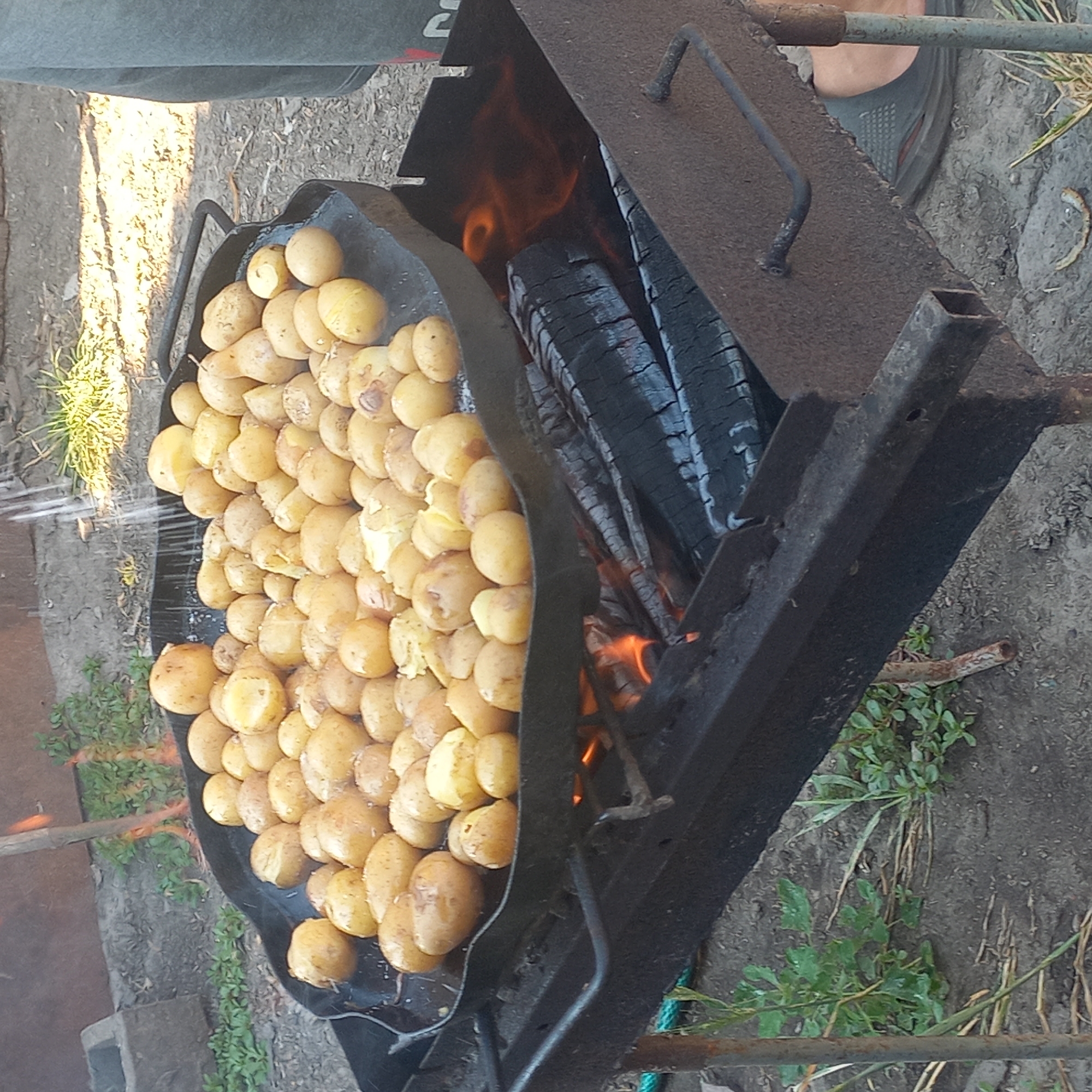 A large, shallow, black metal pan filled with whole, unpeeled potatoes is positioned over an open-flame grill in Klyntsi, Ukraine. The potatoes are golden-brown and appear to be roasting or baking from the heat of the coals and flames visible beneath the pan. Some of the potatoes show slight charring and browning. Water is being drizzled onto the potatoes from above, creating a steam effect. The grill itself is made of dark, weathered metal and contains burning logs and embers. In the background, there is a patch of dry grass and dirt, suggesting an outdoor setting. A person's legs and feet, clad in gray shorts and a dark sandal, are visible on the right side of the frame, indicating their presence and involvement in the cooking process. The overall scene depicts an informal outdoor cooking activity.