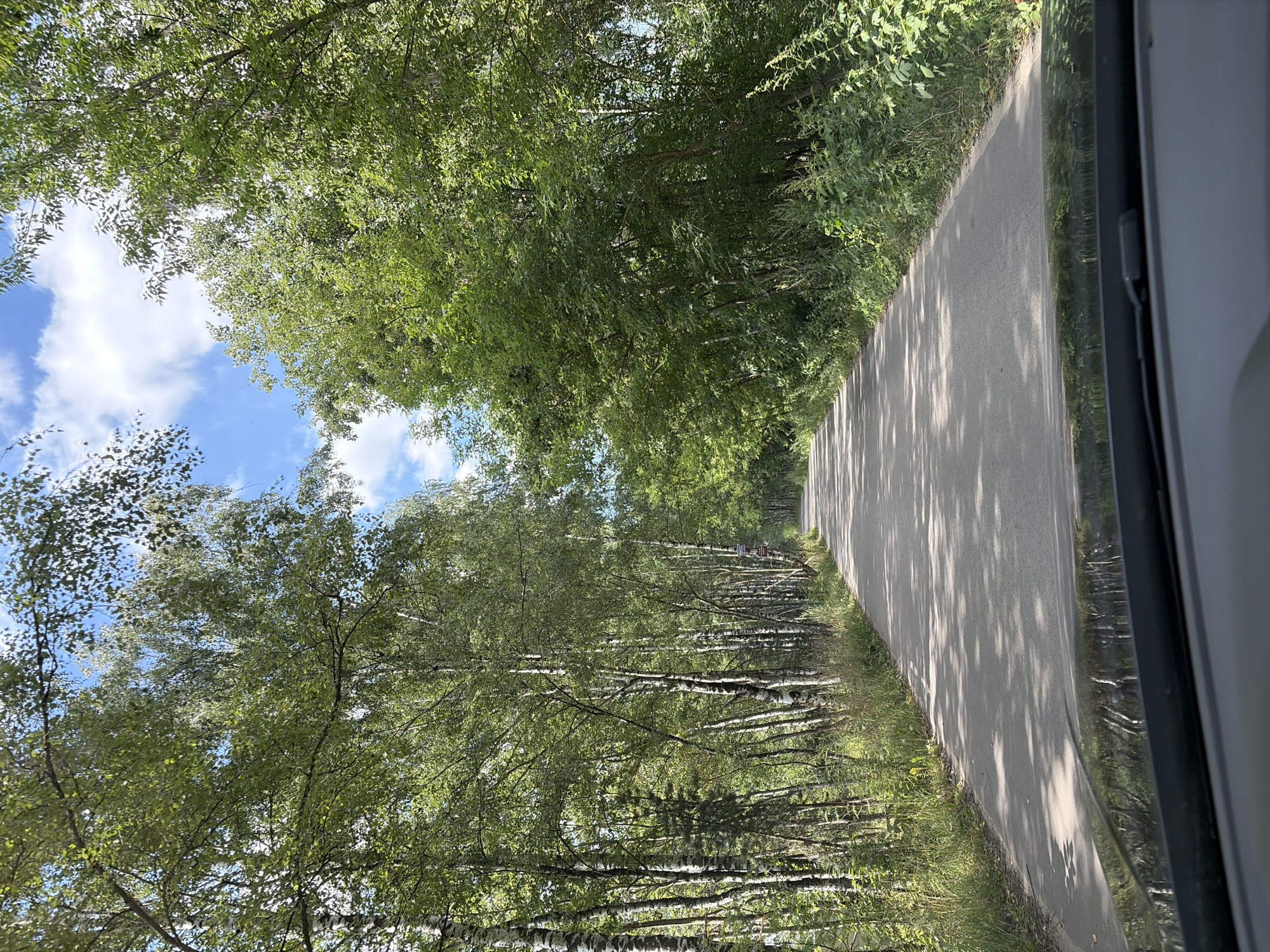 The image shows a paved road going through a forest with tall green trees on both sides. The sun is shining through the trees, creating dappled shadows on the road. The sky is blue with scattered white clouds. The perspective is from inside a vehicle, as the dashboard and windshield wipers are visible in the foreground. The road appears to be in a rural or semi-rural area.