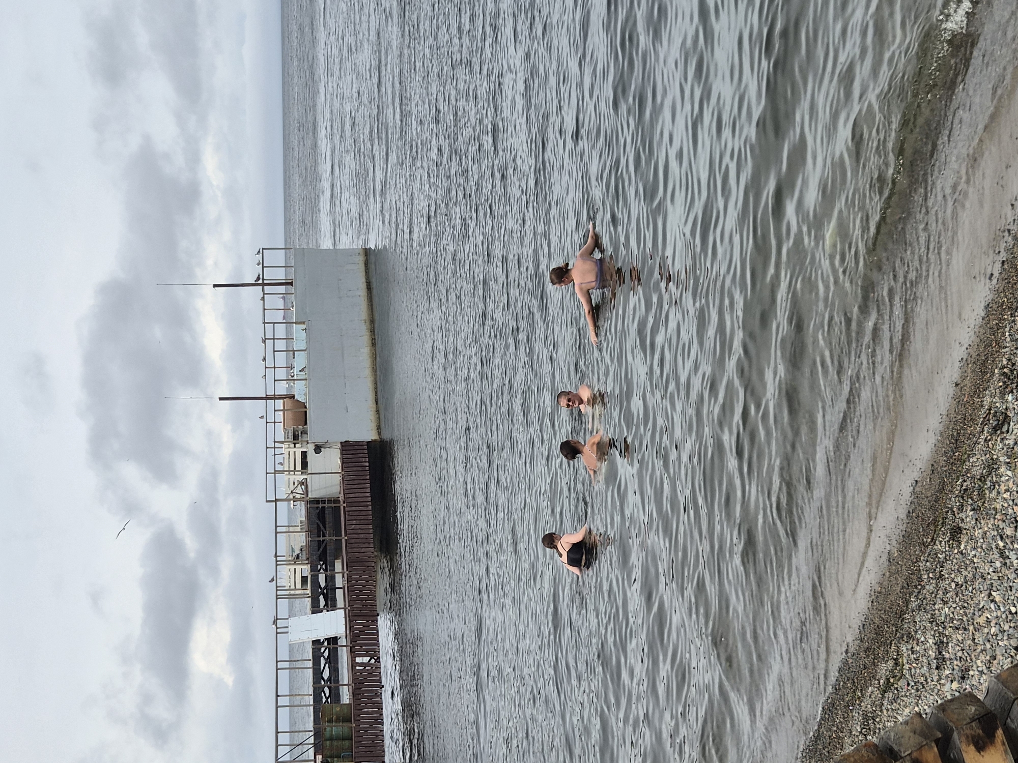 Four individuals are swimming in moderately choppy gray water, with a beach composed of small pebbles and debris in the foreground. In the background, a large concrete structure with a wooden walkway extends into the water. A rusty metal railing runs along the top of the concrete structure, and several seagulls are perched on it. The sky is overcast with gray clouds. The overall environment suggests an outdoor recreational area, likely a beach or bay in a coastal city. The presence of the concrete structure and the overcast sky might suggest an industrial or port area, or a developed waterfront. Given the prompt's request for the location to be Vladivostok, Russia, this scene could be depicting a swimming area along the city's extensive coastline, possibly near a pier or a disused industrial facility. The attire of the swimmers, wearing swimsuits, indicates a recreational activity in a cold climate, which is characteristic of Vladivostok.