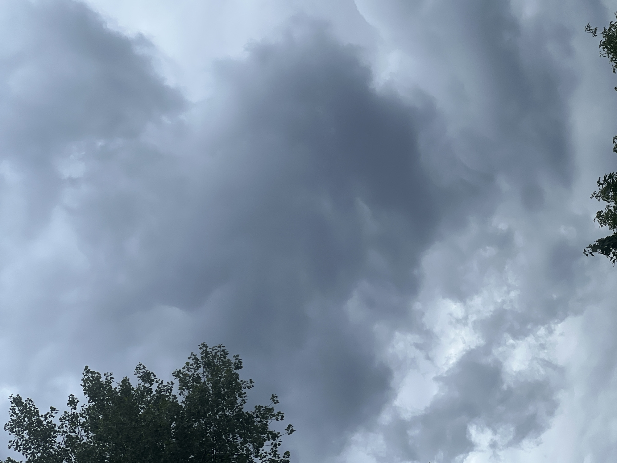 The image shows a cloudy sky with some tree branches visible in the upper left and lower parts of the frame. The clouds are dark and grey, suggesting an overcast or stormy weather. The scene is likely an outdoor setting, possibly in a park or a residential area, given the presence of trees. There are no people or any specific landmarks visible that would indicate a precise location within Warsaw, Poland. The focus is entirely on the sky and foliage.