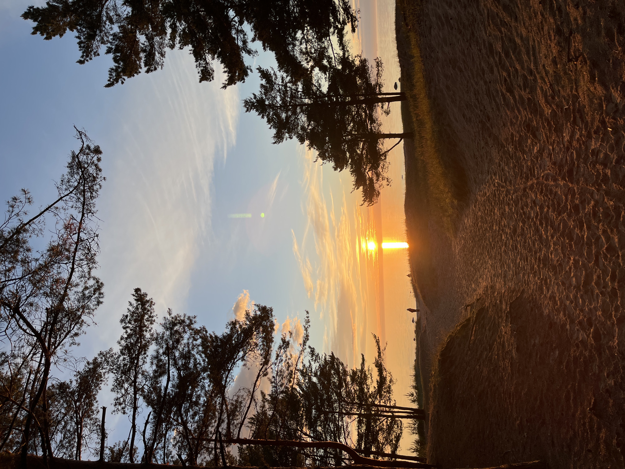 The image depicts a sunset over the Gulf of Finland, viewed from a sandy dune path in Sosnoviy Bor, Russia. Silhouetted pine trees frame the scene on both sides. A single, small human figure stands on the sandy shore, facing the water and the setting sun. The sun, a bright orange orb, is low on the horizon, casting a golden reflection across the calm water. The sky is a gradient of soft blues, pinks, and oranges, with thin wisps of clouds. The sand in the foreground is textured with footprints and ripples, indicative of a well-trodden path.