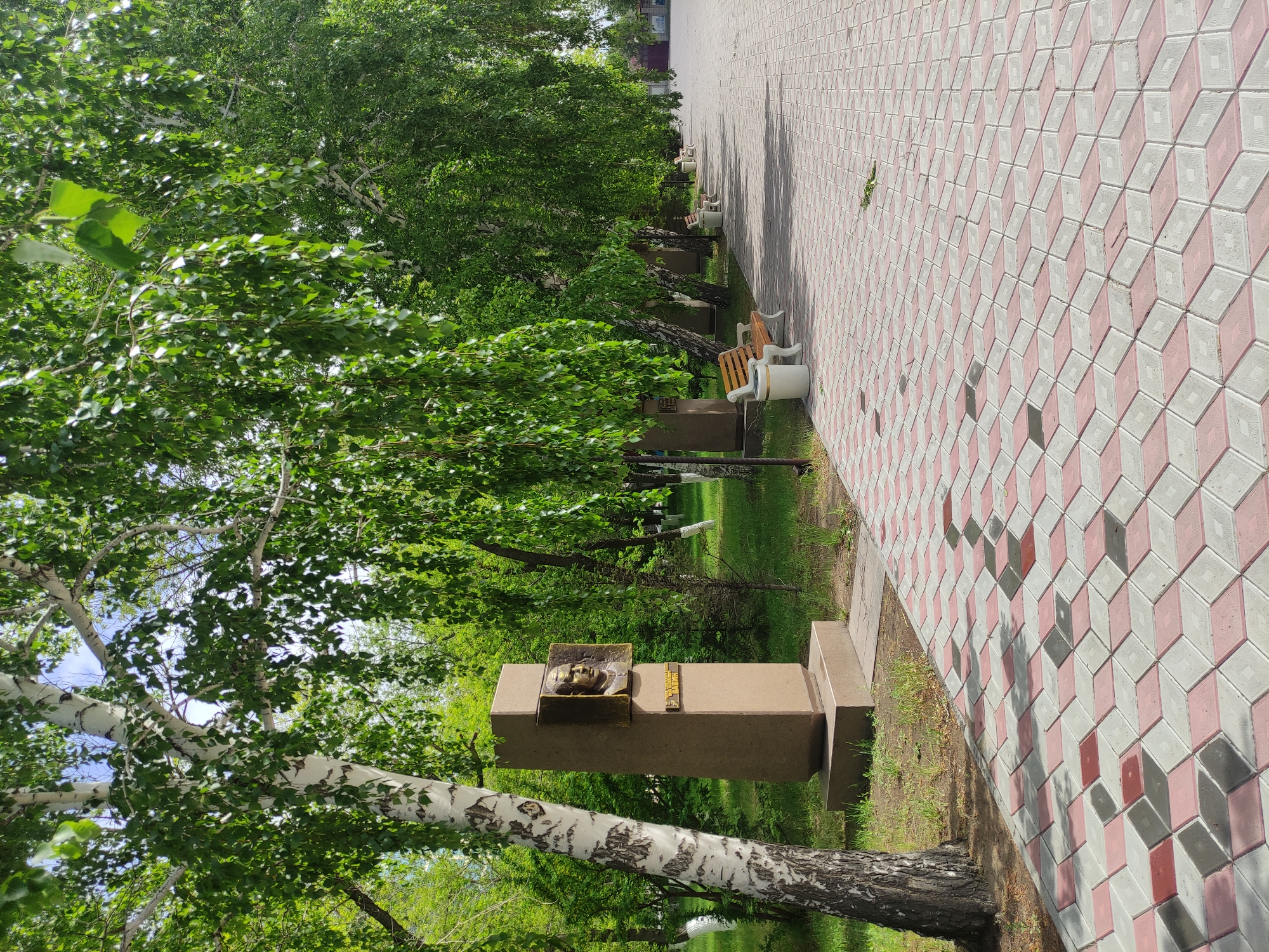 The image depicts a view in the city of Pavlodar, Kazakhstan. A patterned walkway of pink and white interlocking paving stones is visible. Along the edge of the walkway, there is a row of birch trees with white bark and green foliage. A stone monument with a bronze plaque depicting a human face and a smaller plaque with lettering stands near one of the trees. Park benches are positioned along the walkway at intervals. Grass and other trees are visible behind the line of birch trees. The setting appears to be a park or public area.