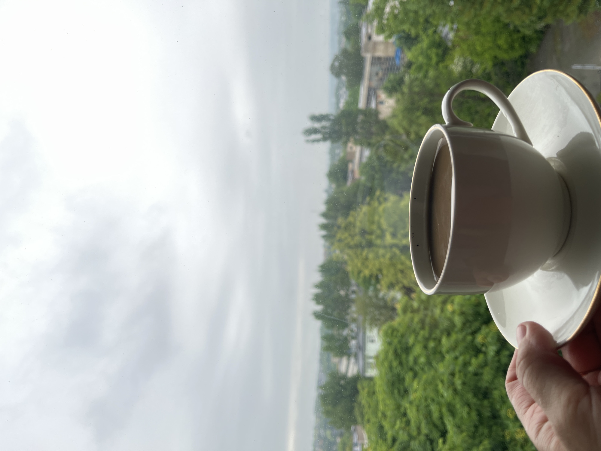 An overhead, slightly angled medium shot shows a white coffee cup and saucer with a golden rim being held by a person's hand in the foreground. The cup is filled with dark liquid, likely coffee. The background is a blurred cityscape with lush green trees and buildings, suggesting an urban environment. The sky is overcast and gray, indicating a cloudy day.