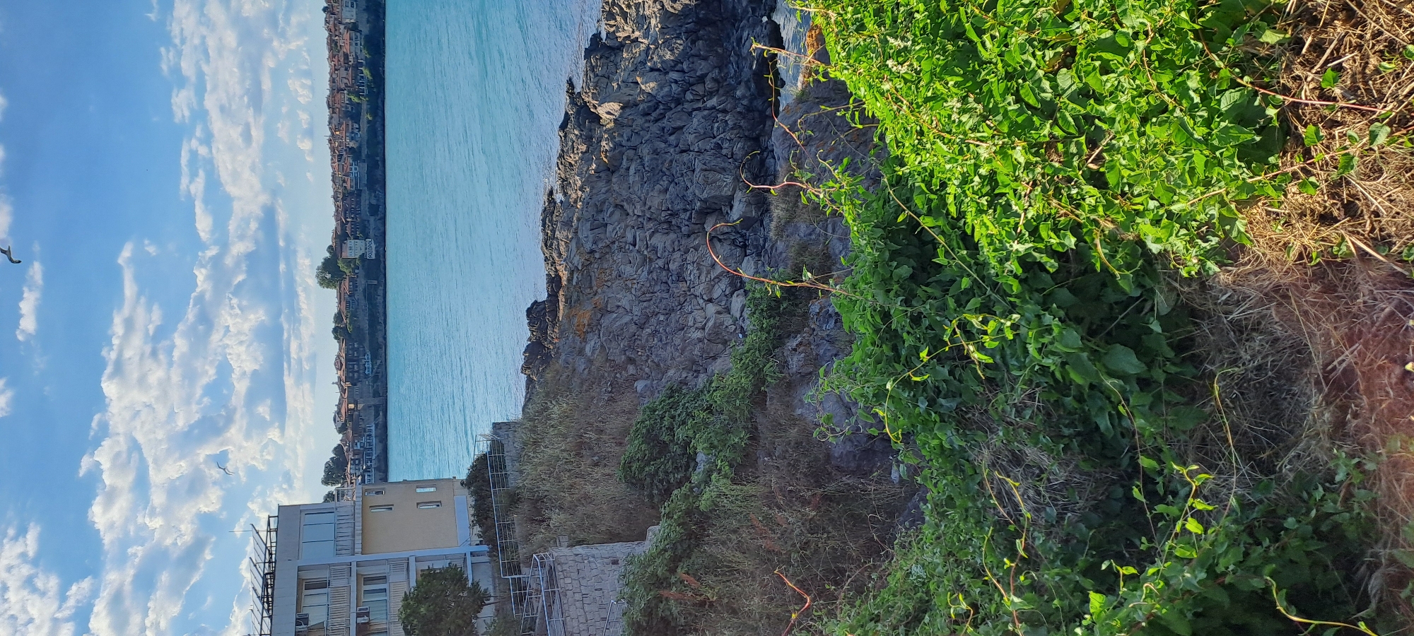 This is a landscape image taken in Sozopol, Bulgaria. The scene depicts a rocky coastline with the turquoise sea meeting the shore. Lush green vegetation, including vines and bushes, covers the foreground and spills over the rocky terrain. In the distance, a town with terracotta-tiled roofs and white buildings is visible along the coast, suggesting a Mediterranean or coastal European setting.
The sky is a vibrant blue, dotted with fluffy white clouds, indicating fair weather. The lighting suggests it is daytime, possibly late morning or early afternoon, given the brightness and the shadows cast. The image is oriented vertically, with the sky occupying the left side and the sea and coastline stretching horizontally across the middle.
The overall mood is serene and picturesque, highlighting the natural beauty of the coastal landscape and the charm of the distant town. There is a building with a light-colored facade and balconies visible in the lower left portion of the frame, hinting at urban development near the natural setting. A single bird can be seen in flight against the sky, adding a touch of life to the scene. The image captures a tranquil moment at the junction of nature and civilization. No visible text is present in the image.