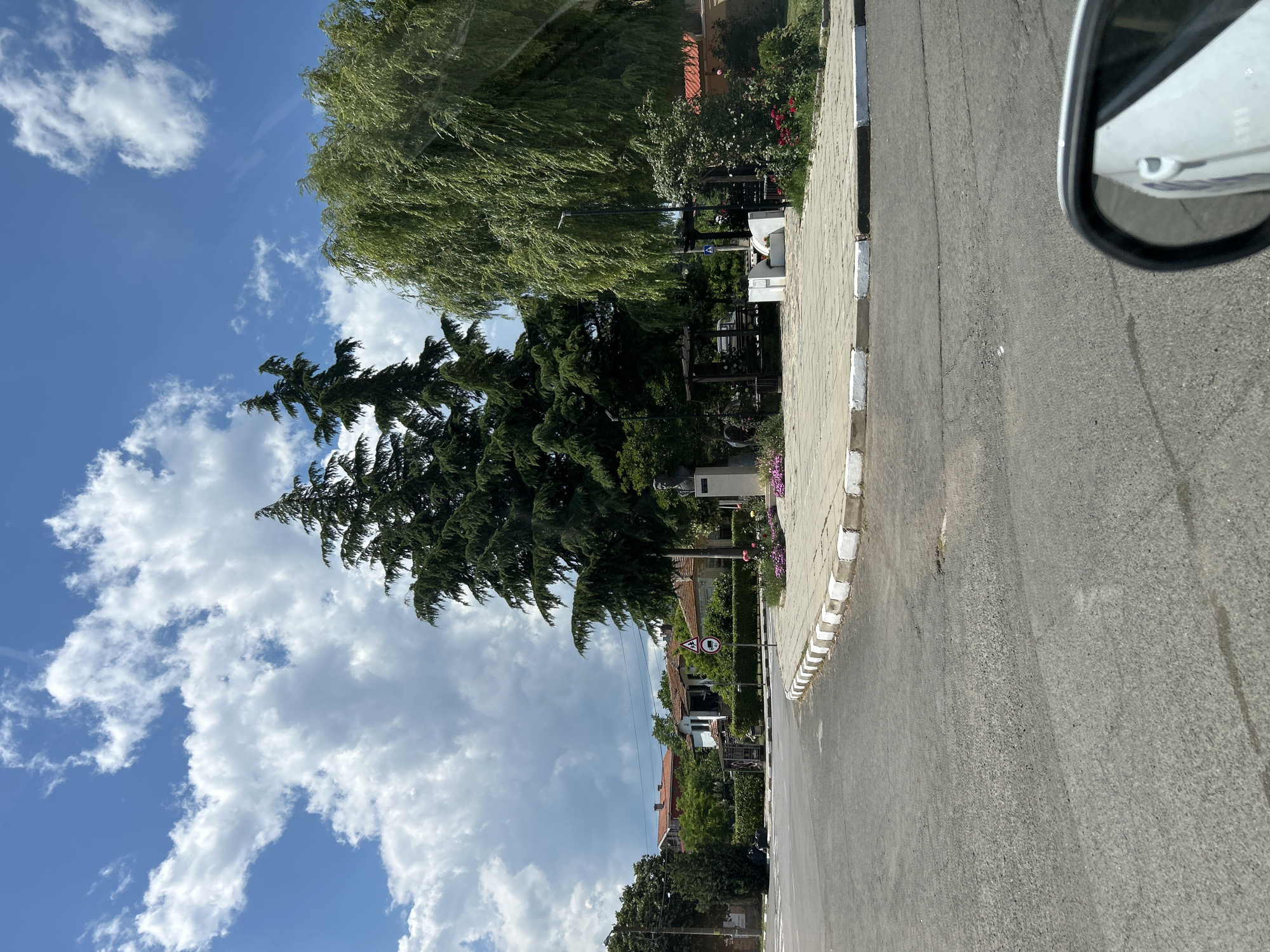The image depicts a street intersection in the city of Tankovo, Bulgaria. The scene is dominated by a roundabout with a paved surface, bordered by a white and gray curb. Several trees are visible, including tall evergreen trees and a large, weeping willow. A bust on a pedestal stands in the center of the roundabout, flanked by flowerbeds. Behind the roundabout, several houses with red tile roofs can be seen, along with more greenery. The sky is blue with scattered white clouds, suggesting a bright day. The foreground shows a paved road, and the corner of a white car's side mirror is visible on the right edge of the frame. A street sign with a red circle and a diagonal line is also present, indicating a prohibition.