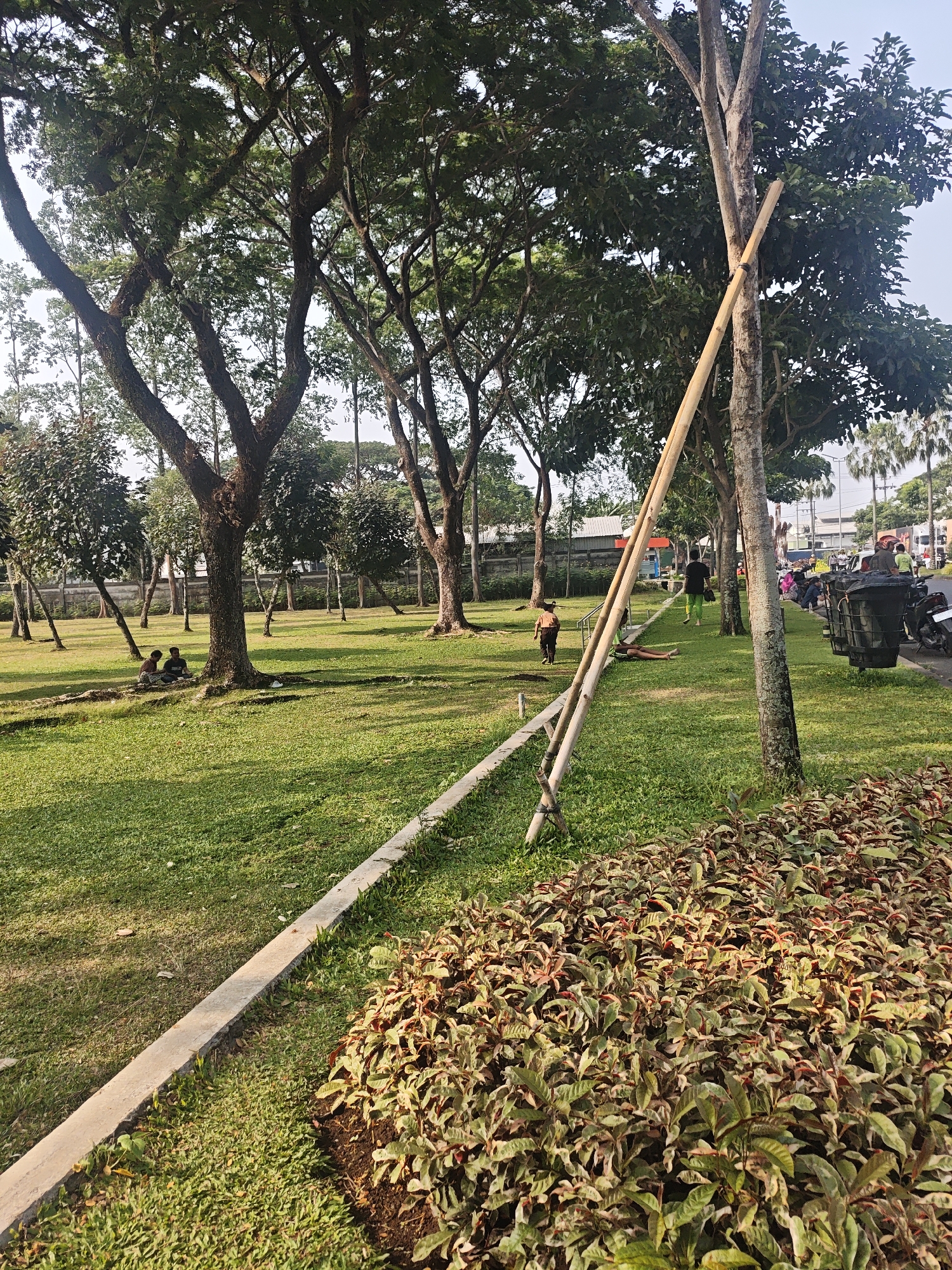 In Bacin, Indonesia, a park scene unfolds under a bright sky. Lush green grass carpets the ground, interspersed with the dappled shade of mature trees. Two individuals are seated on the grass near the base of a large tree, appearing relaxed. Further in the distance, a lone figure walks across the lawn.
A notable feature is a long bamboo pole propped against a tree, its purpose unclear. To the right of the frame, a concrete path borders a dense bed of variegated foliage, with shades of green and red. Beyond the park, a street scene is visible, featuring several motorcycles, some parked and others in motion, with people milling about. A large trash bin on wheels stands near the road. Buildings are visible in the background, suggesting an urban or semi-urban setting.