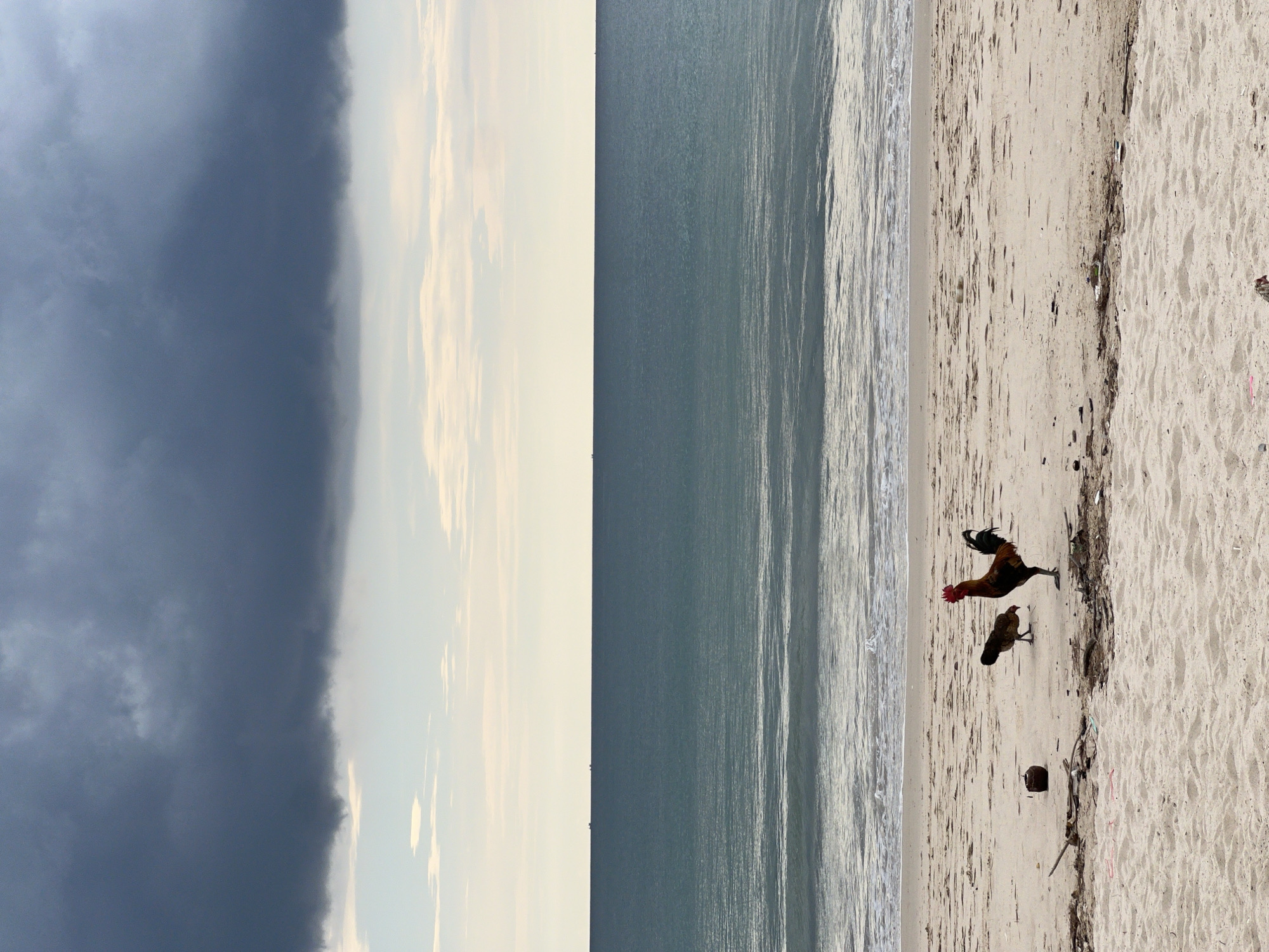 The scene depicts a beach with a dark, ominous sky on the left, gradually transitioning to a lighter sky. The ocean is in the middle, with the shoreline and sandy beach on the right. A rooster and a hen are on the beach near the water. The location is Unknown, Unknown.