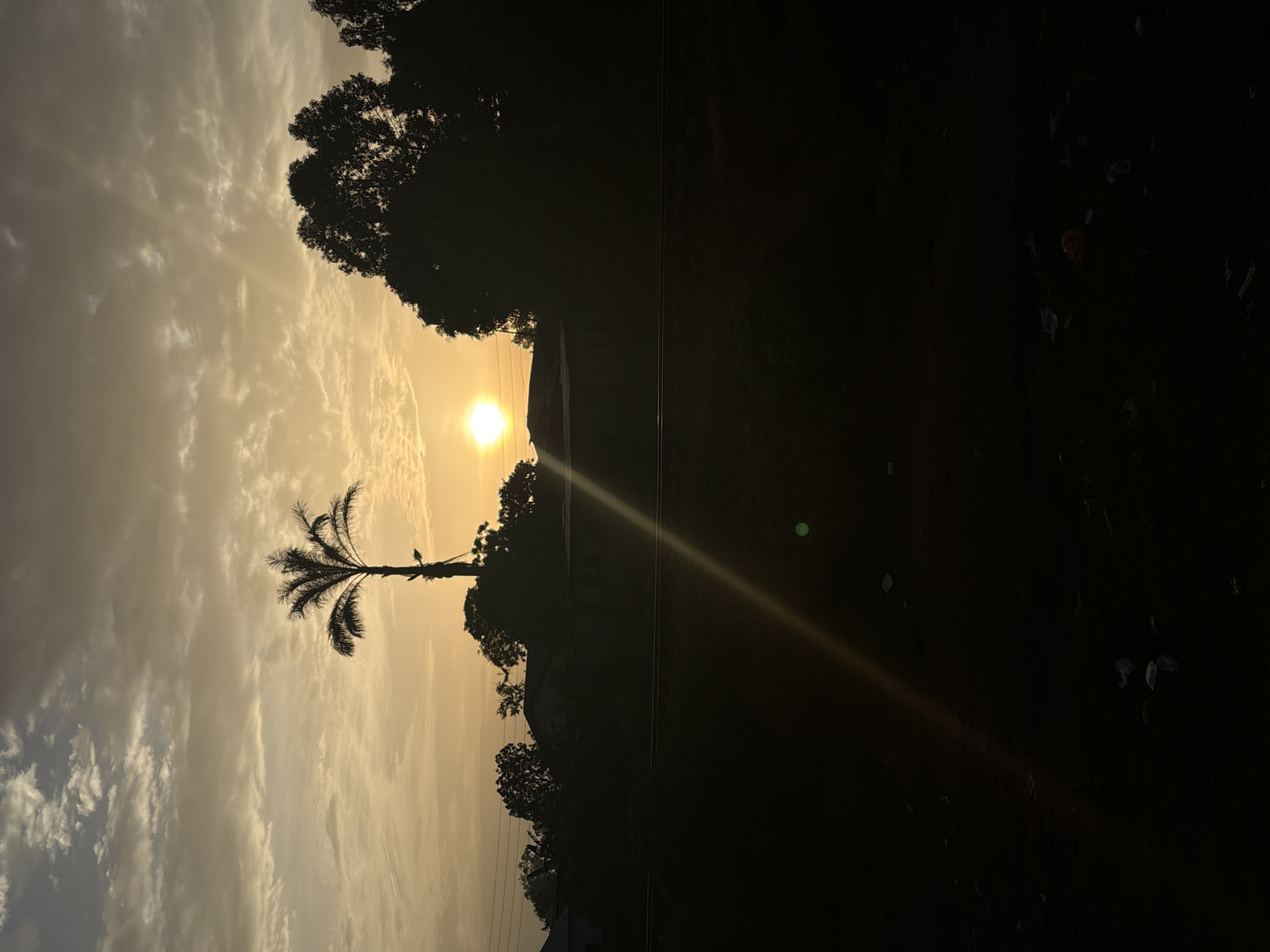 This is a vertical, medium-distance shot of a silhouette of a palm tree and other trees against a hazy sunset. The sky is filled with clouds, with the sun visible as a bright, blurred orb. A diagonal light flare cuts across the image from the upper left to the lower right. The foreground is very dark and appears to be the ground with some scattered debris. The background contains silhouetted trees and hints of buildings and utility poles. The scene is suggestive of an outdoor location in Bukuru, Nigeria, during twilight.