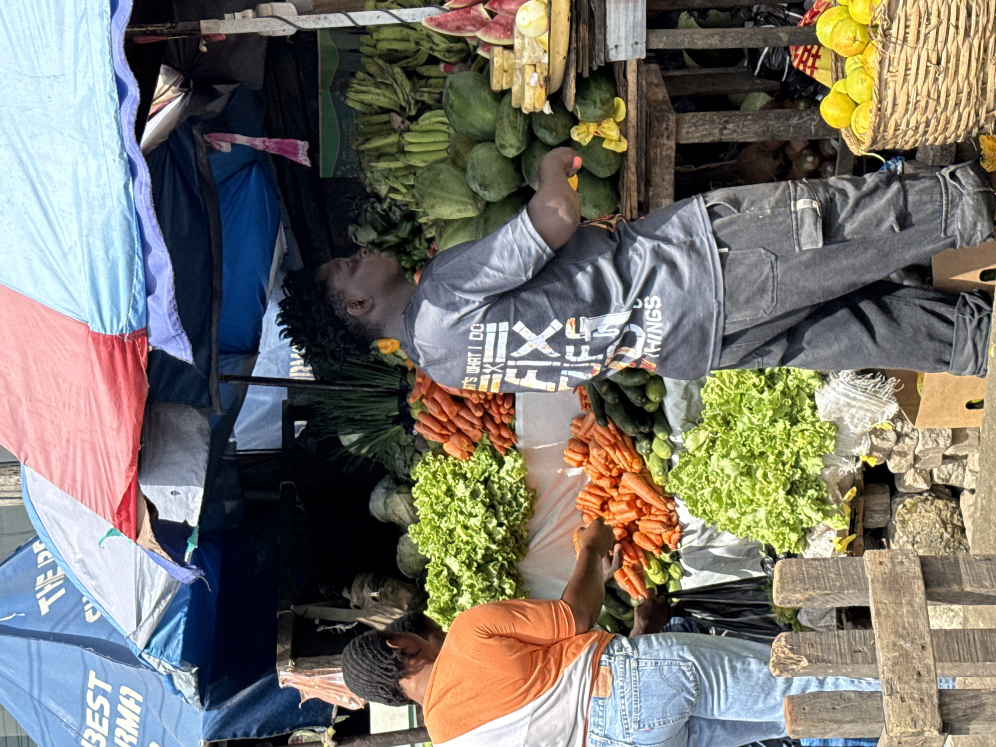 Two people are interacting with produce at an outdoor market. One person wears a gray shirt and black pants and is standing near bananas and papayas. The second person wears an orange shirt and blue jeans and is sorting through carrots and lettuce. A variety of fruits and vegetables are on display. A multi-colored awning provides shade. The location is Ilado, Nigeria.