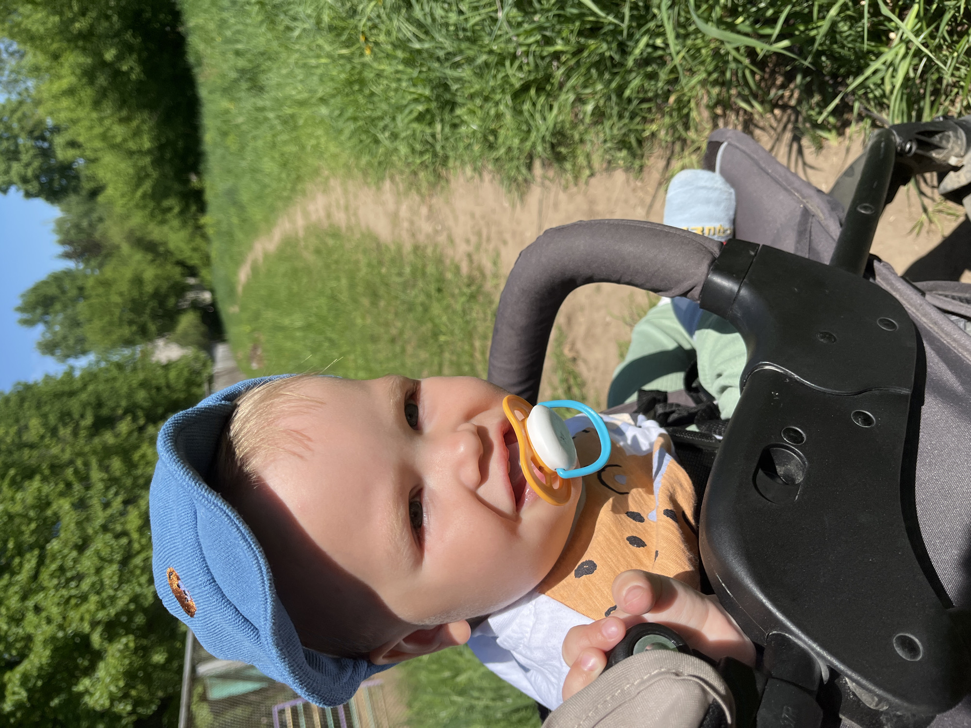 A baby wearing a blue cap and a pacifier is sitting in a stroller. The baby is wearing an orange shirt with a leopard print design. The stroller has a black handle. The background shows a path with green grass on either side. The photo appears to be taken outdoors on a sunny day. There is nothing visible to indicate that the location is the city of Chaikovsky, Russia.