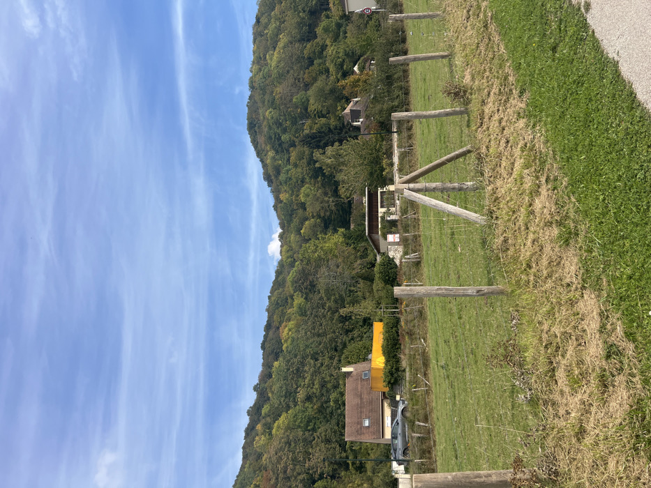 The image depicts a rural-suburban landscape in Vernon, France, on a clear to partly cloudy day. In the foreground, a grassy field is sectioned by a wire fence supported by five weathered wooden posts, with a prominent A-frame support structure in the center-right of the fence line. The grass in the immediate foreground is a mix of green and dry, matted brown patches, bordered on the far right by a strip of greener turf alongside an unpaved or light-colored pathway.
Beyond the field, the midground features two residential structures against a backdrop of heavily wooded hills. To the left, a two-story house with a reddish-brown tiled roof and light-colored walls is visible, with a dark grey SUV-style vehicle parked in front. Adjacent to this house, a distinctive bright yellow rectangular structure stands out. Further right, a second house, smaller and partially obscured by trees, has a lighter-colored roof and walls. A circular red "30" speed limit sign is visible on the far right.
The background is dominated by a large, undulating hill covered with dense deciduous forest, displaying a mix of green, yellow, and subtle orange foliage, indicative of early autumn. The sky above is a light blue with scattered, wispy white clouds. No individuals or discernible actions are present in the scene.