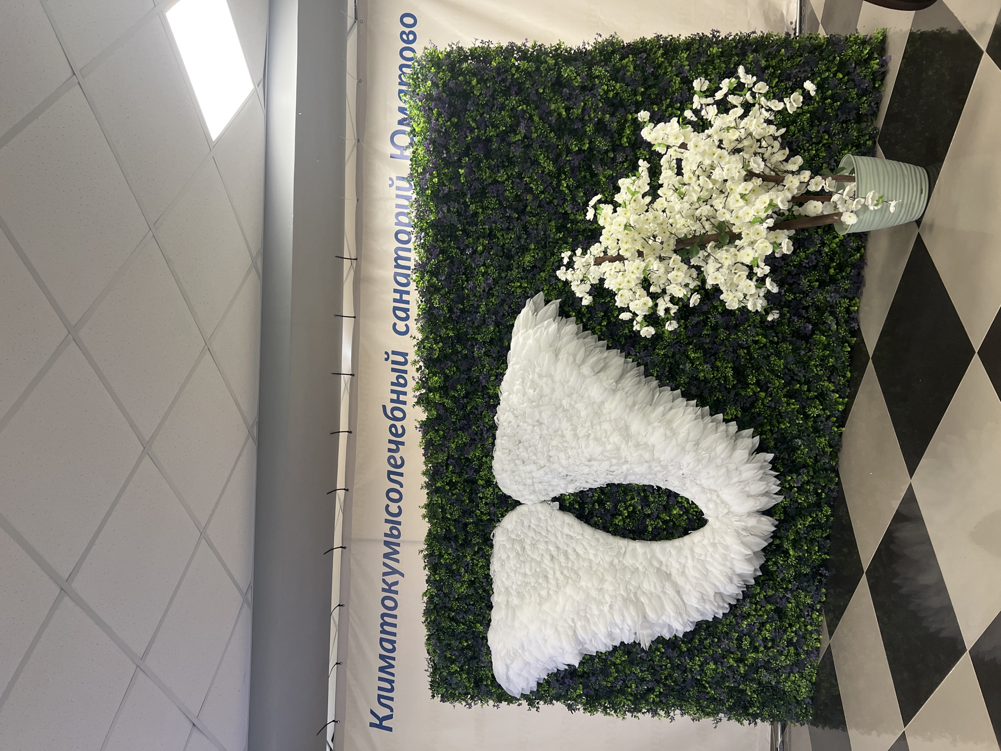 The image displays an indoor decorative scene, likely within a public or commercial building. The central feature is a wall adorned with artificial green foliage, resembling a hedge. Mounted on this green wall are a pair of large, white, feathery angel wings. To the right, in front of the green wall, sits a light blue, vertically striped vase holding a plant with abundant white blossoms, possibly artificial cherry or apple blossoms.
Above the decorative wall, a white banner runs vertically along the left side. This banner features blue Russian text that reads: "Климатокумысолечебный санаторий Юматово," which translates to "Climate and Kumys Therapy Sanatorium Yumatovo." The banner is secured with black ties.
The ceiling above is a light-colored, grid-patterned acoustic tile ceiling, featuring a large, bright rectangular light fixture that illuminates the area. The floor visible in the foreground and to the right has a distinctive black and light grey/white checkered pattern. No people or specific activities are present, suggesting a static decorative installation. The bright lighting indicates an indoor setting during operational hours. The location cues strongly point to a sanatorium named Yumatovo, specializing in climate and kumys therapy.