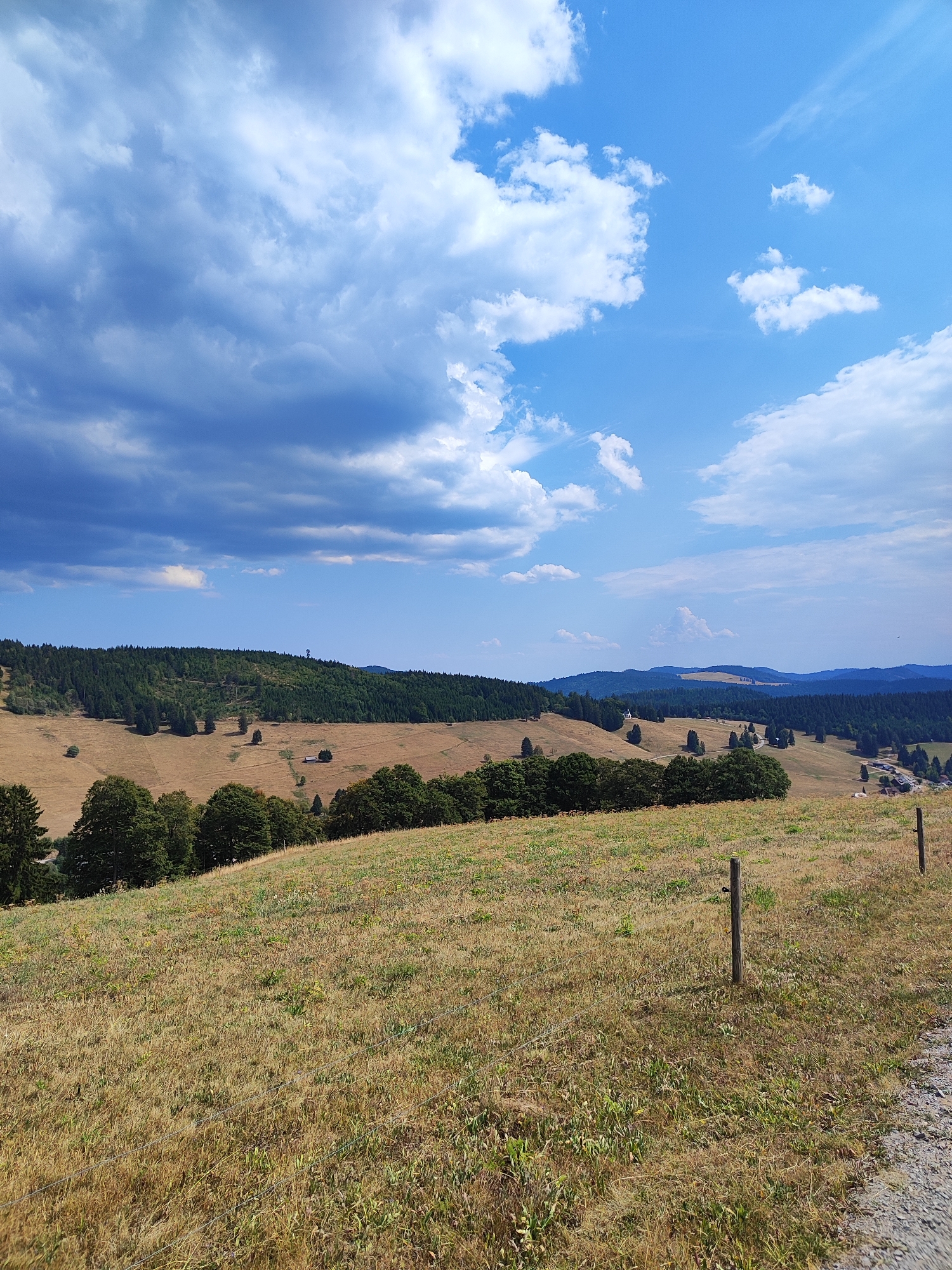 A panoramic view captures a rolling landscape under a partly cloudy blue sky. The foreground is dominated by a dry, golden field with a rustic wooden fence post and wire running diagonally across it. In the mid-ground, a large expanse of dry grass is dotted with scattered trees. Beyond this, a dense, dark green forest blankets a hillside, with a few isolated structures visible within the trees. Further in the distance, multiple layers of blue-hued hills recede towards the horizon, suggesting a mountainous region. The overall scene is one of natural beauty, with a sense of openness and vastness. This image appears to be taken from a viewpoint within or near the city of Todtnau, Germany, a region known for its scenic Black Forest landscapes.