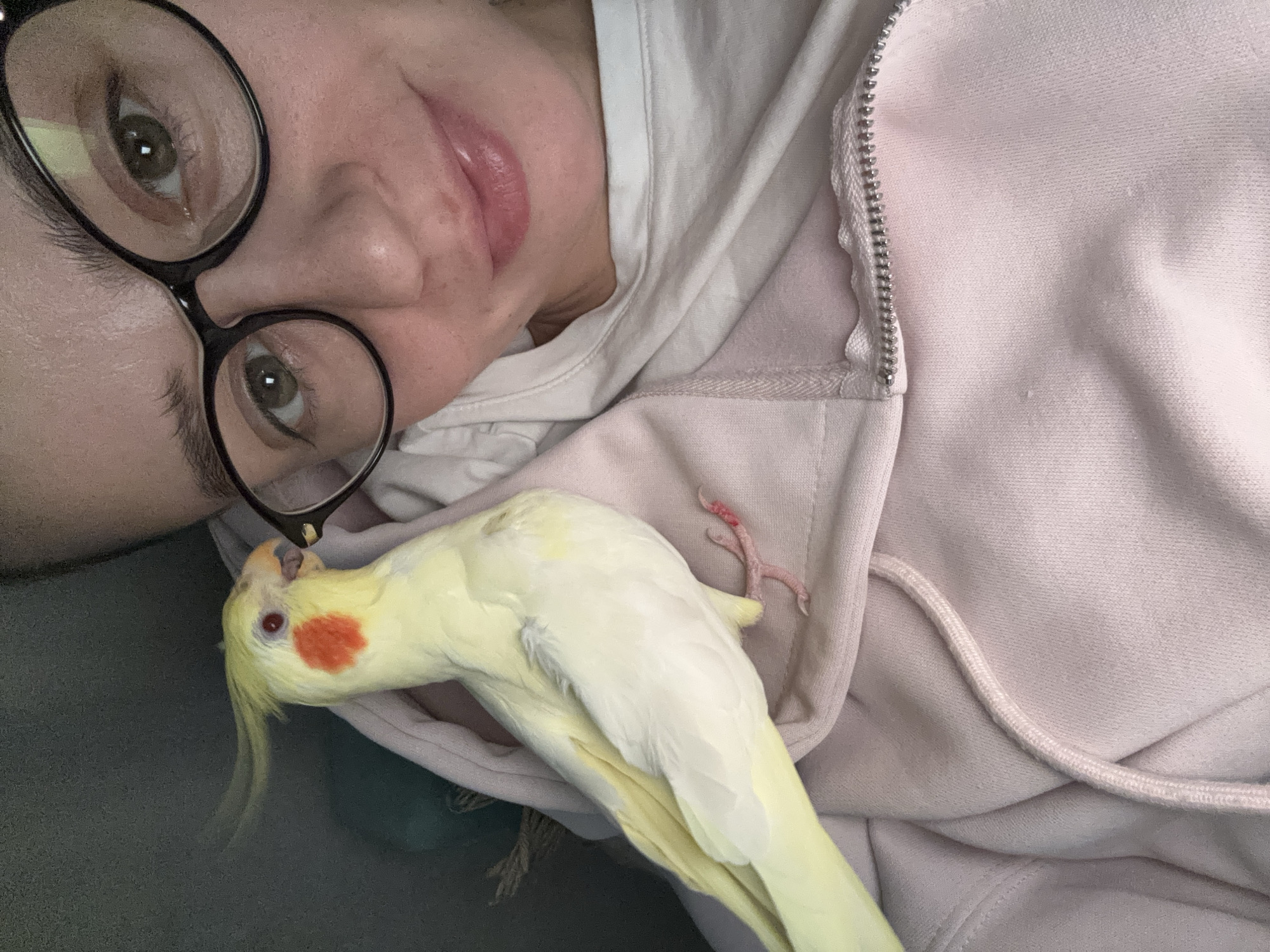 A close-up, high-angle shot features a person and a pet cockatiel bird in an indoor setting, likely in Krasnoyarsk, Russia. The person, whose face is partially visible and angled, wears large, round, dark-rimmed eyeglasses and a light pink hooded sweatshirt with a silver zipper. Their eyes are open, reflecting a relaxed expression, and their lips show a faint smile.
The cockatiel, predominantly yellow and white with distinctive orange cheek patches and red eyes, is resting comfortably on the person's pink sweatshirt near their neck and chest. The bird appears peaceful, with its head slightly tucked, and its tiny, red-tinged feet are visible near its body. A drawstring from the hoodie is also visible on the right side of the frame. The scene conveys a sense of quiet companionship and affection between the person and their pet. No specific time of day or weather is discernible, and there is no visible text in the image.