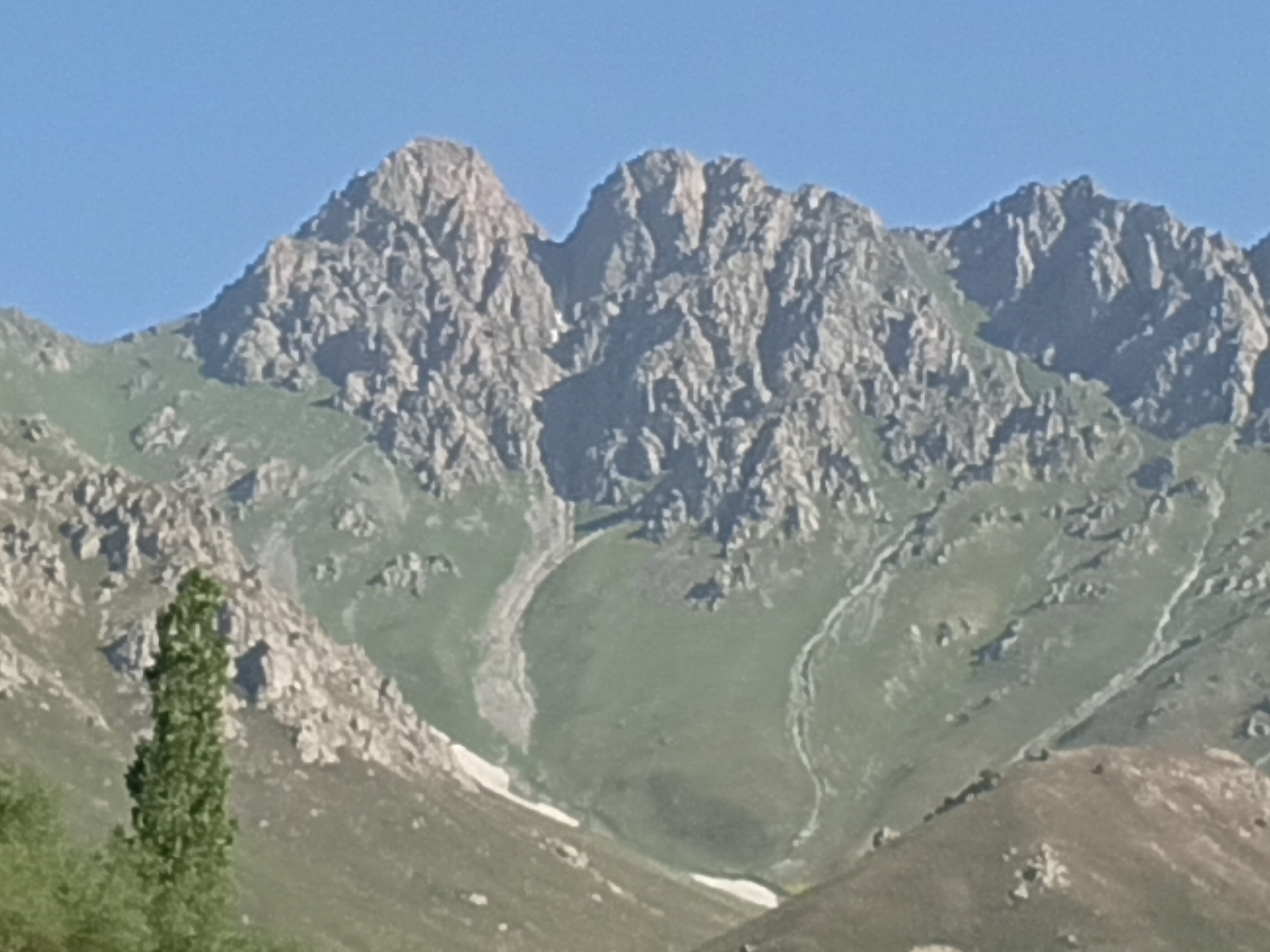 The image shows a mountainous landscape with rugged, rocky peaks under a clear blue sky. The slopes of the mountains are covered in patches of green grass and scree. There are also areas of snow on the higher elevations. A tall, slender green tree stands in the foreground on the left side of the image, with blurred green foliage behind it. The scene appears to be a natural landscape, possibly in a rural or wilderness area, with no visible signs of human habitation or activity, other than possibly a faint dirt track visible on one of the slopes.