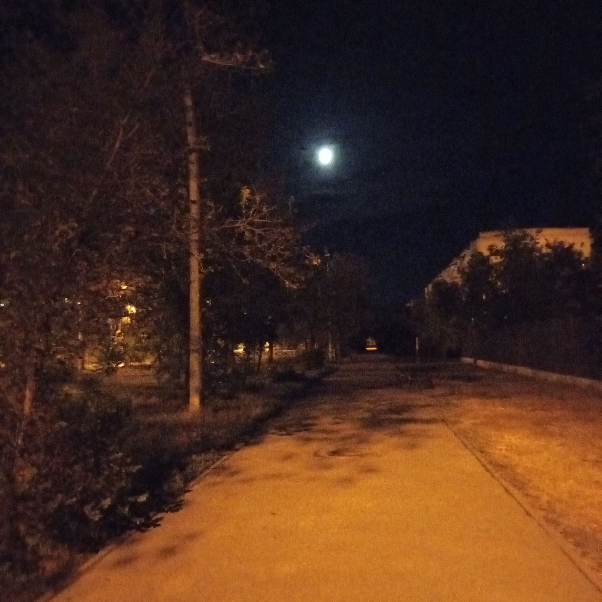 The image depicts a paved pathway or road at night, illuminated by artificial lights casting an orange glow and by a full moon in a dark sky. Trees and vegetation line the left side of the pathway, with a tall pole visible amongst them. In the distance, a building with a light-colored facade is partially obscured by trees. The scene appears to be an outdoor public space, possibly a park or a street, in Astrakhan, Russia, given the context provided. No individuals or specific actions are discernible in the image.
