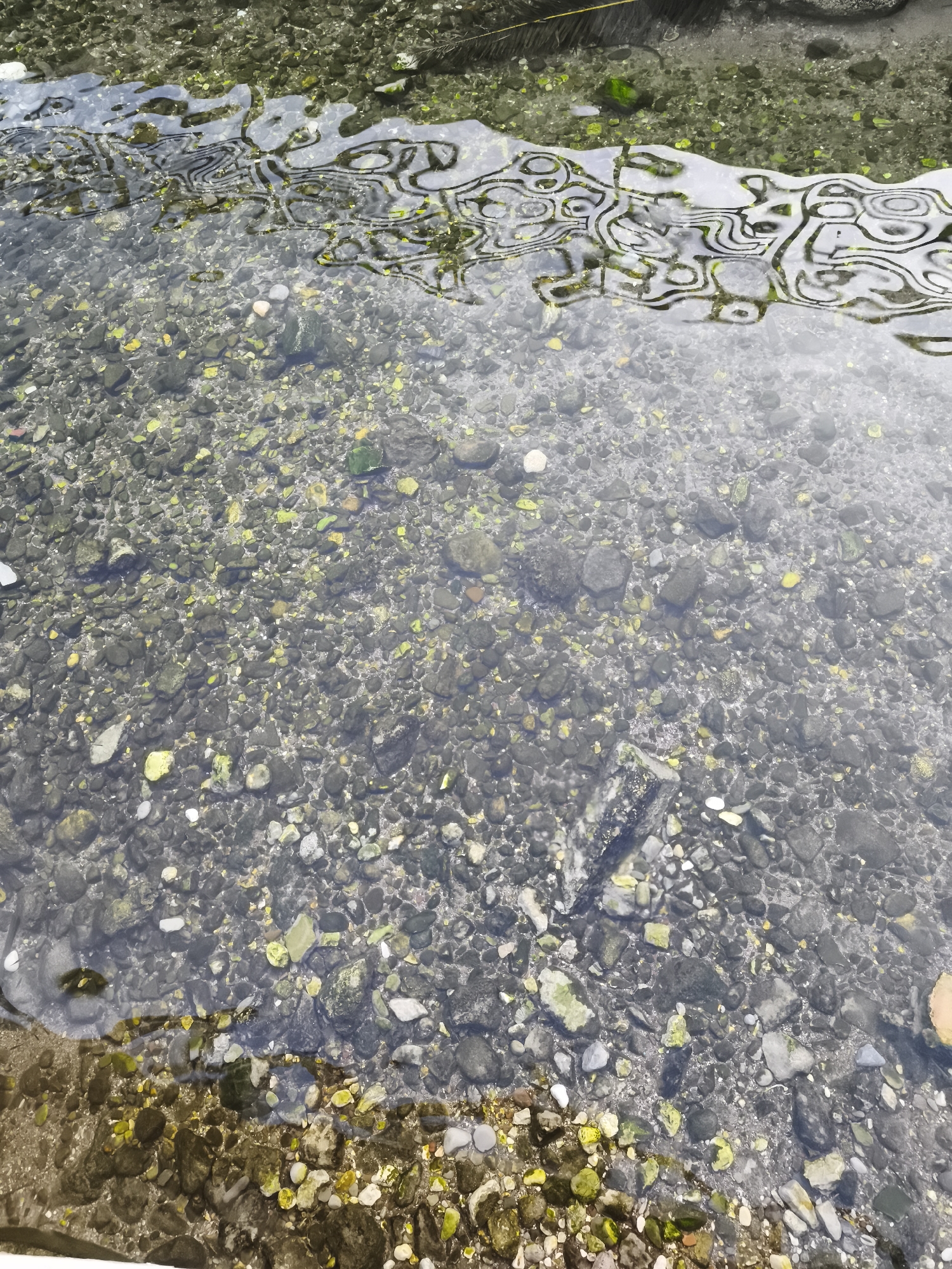 The image shows a shallow stream or body of water in an unknown location in the city of Unknown, Unknown. The water is clear enough to see the stream bed, which consists of small, grey and multicolored pebbles and stones. Some green algae or moss is present on the stones. The water surface shows a pattern of ripples or reflections, creating an abstract design. A small portion of the bank or shore is visible in the bottom left and top edges of the image, showing similar pebbles and sand. There are no people or animals present.