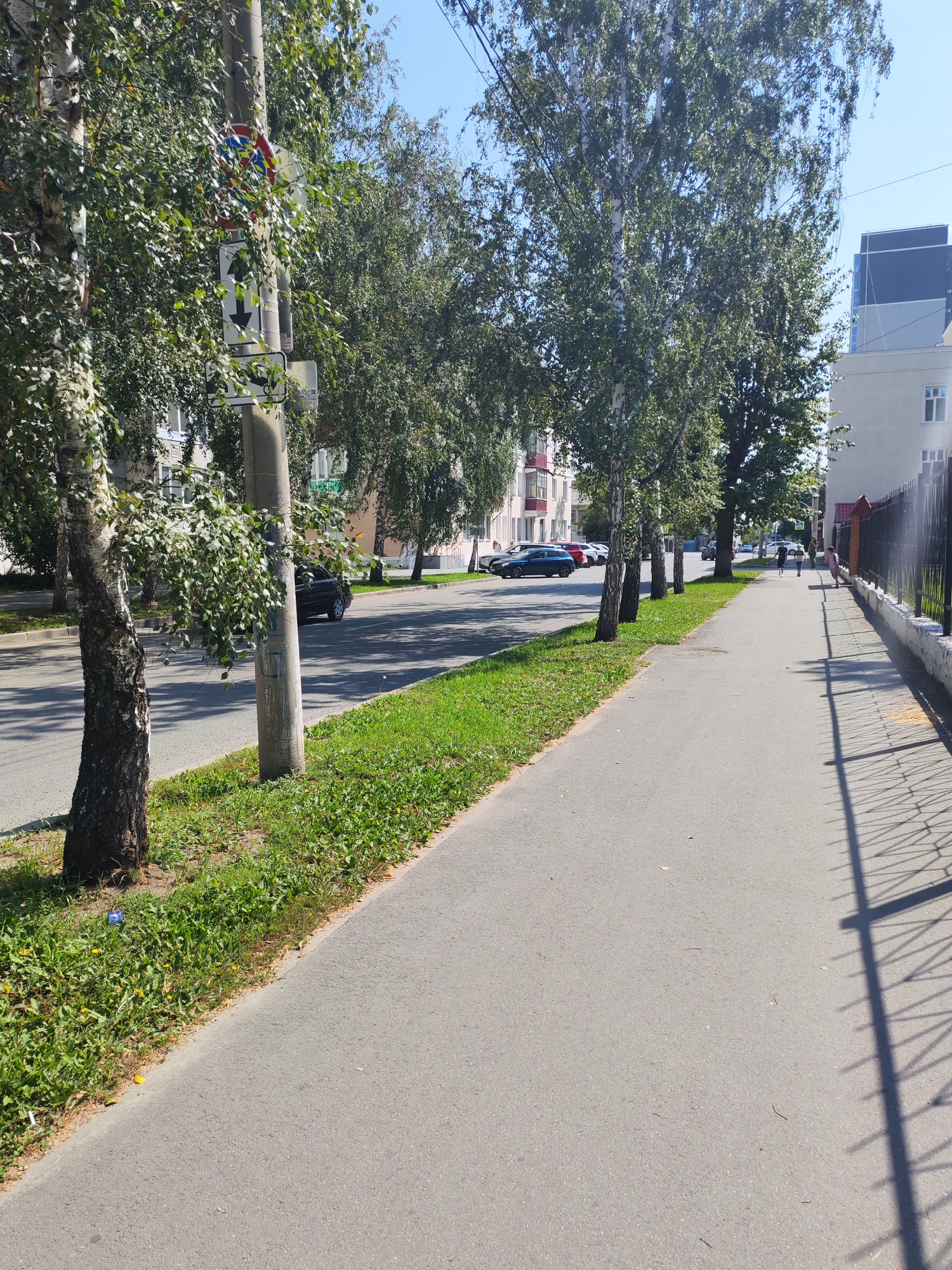 A paved sidewalk runs alongside a street lined with trees in an urban environment. The sidewalk is empty except for a few scattered leaves and debris. On the street, several cars are parked and in motion. To the right of the sidewalk, a black metal fence runs along the property line. In the background, buildings of various architectural styles are visible, and the sky is clear and blue. A traffic sign is affixed to a utility pole on the left side of the image, obscured by tree branches. A small blue plastic wrapper is visible on the grass next to the sidewalk.