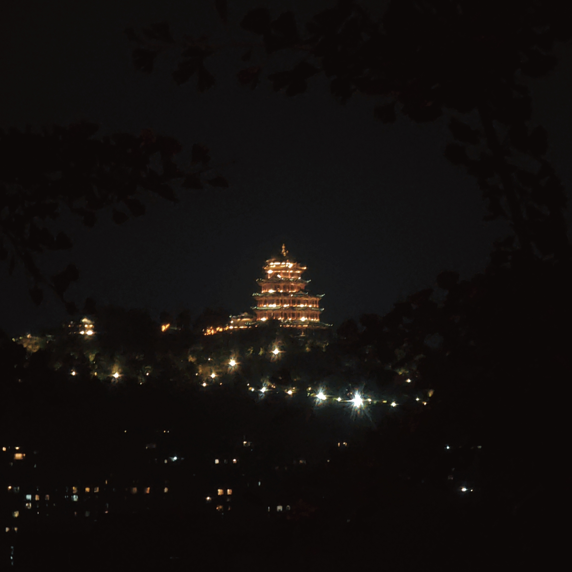 Captured at night, the image showcases a multi-tiered pagoda structure, likely situated in or overlooking the Yuzhong District of Chongqing, China. The pagoda, illuminated with warm, golden lights, stands out against the dark sky. Below the pagoda, a series of lights mark the terrain, suggesting roads or other buildings on a hillside. The foreground is obscured by silhouetted foliage. Further down, building lights are visible, possibly indicating the presence of residential or commercial areas in Yuzhong District.