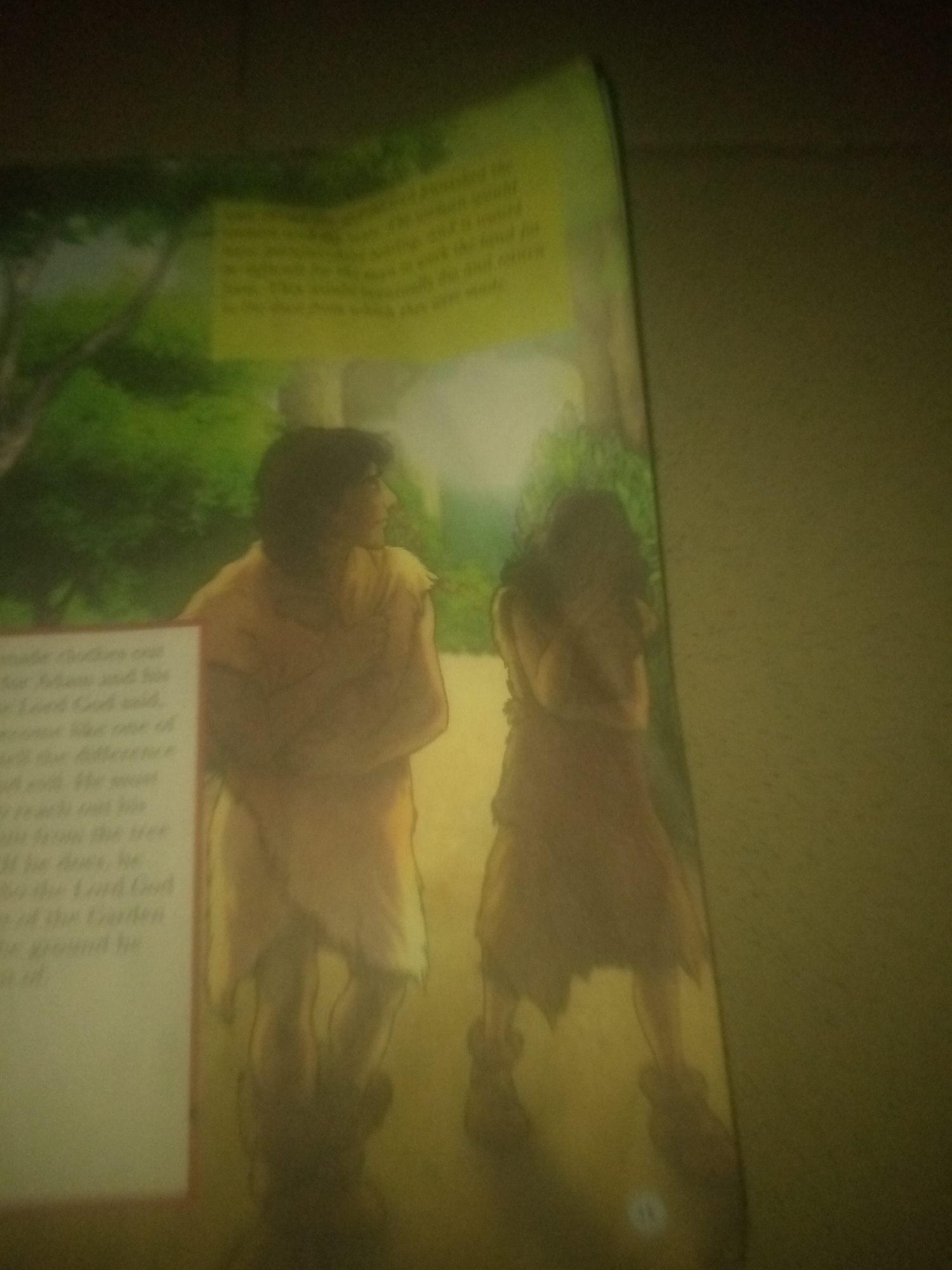 The image is a close-up, slightly blurry photograph of an open book displaying an illustration and text. The illustration depicts two figures, likely Adam and Eve, in a garden setting with trees and foliage. The figures are rendered in a simple, cartoonish style, with the male figure on the left facing to the right, and the female figure on the right facing to the left. Both are wearing simple, draped garments. A white panel on the left side of the illustration contains text. The background of the image is dark and out of focus, suggesting the photograph was taken in low light conditions. The book appears to be a children's book, possibly a religious or educational text. There is no visible indication of the city of Jalingo, Nigeria, in this image.