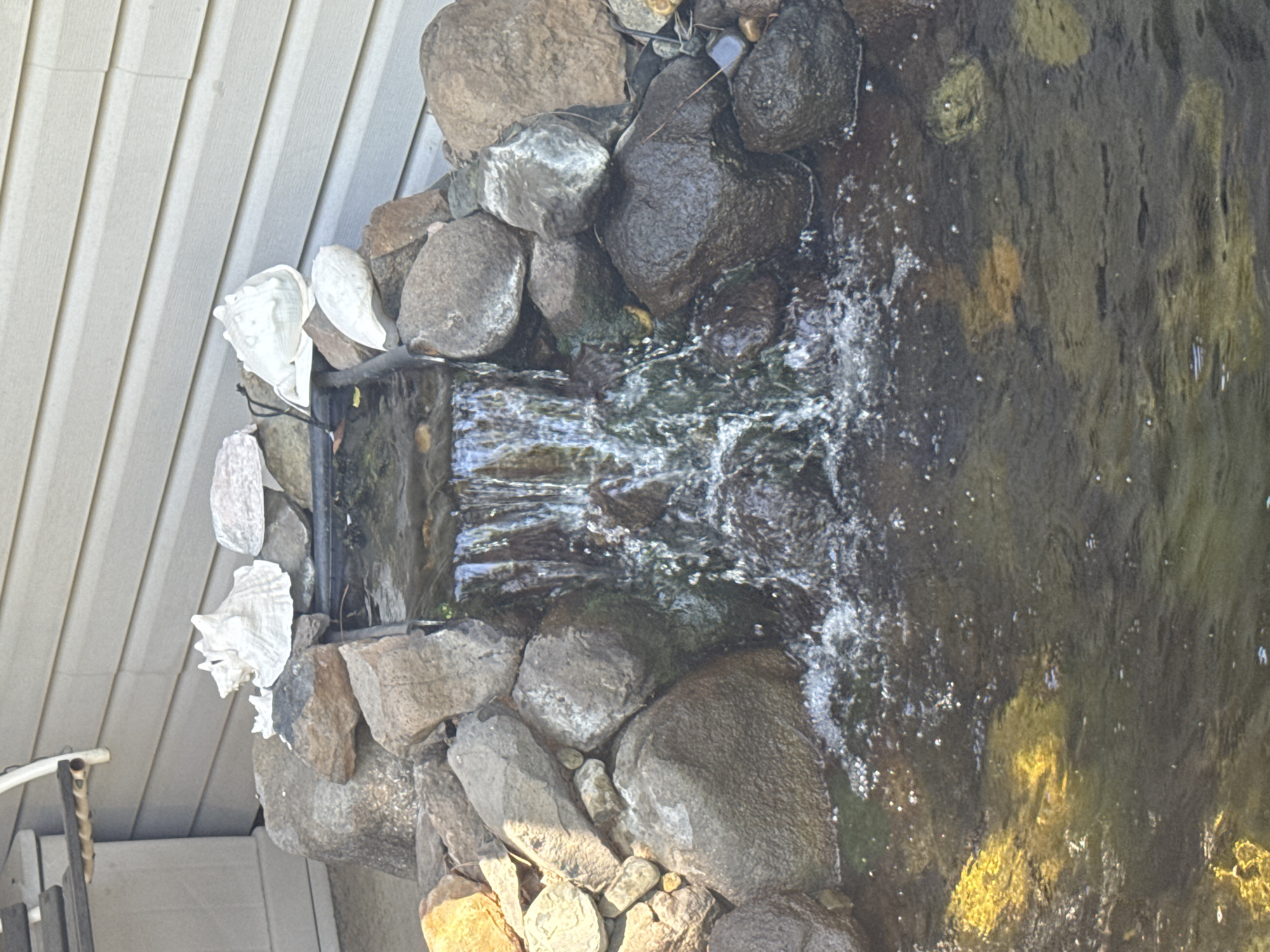 The image depicts an outdoor decorative waterfall with a water basin. The waterfall is constructed from various sized rocks and has shells placed on top. The water flows from a rectangular opening, creating a cascading effect into the basin below. The basin is filled with dark water, and sunlight reflects off its surface. In the background, there is a light-colored, horizontal-sided wall, likely part of a building. To the left of the waterfall, a portion of an outdoor furniture item, possibly a swing or chair, is visible. The overall scene suggests a backyard or garden setting. The image was taken in Roseville, United States of America.
