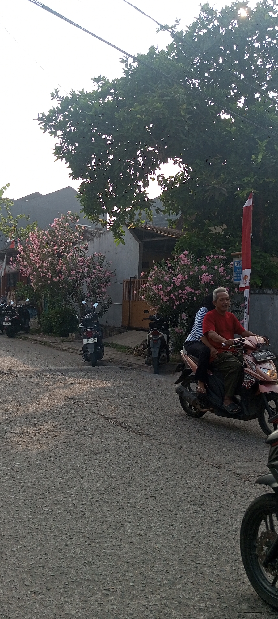 The image depicts a street scene in Setu, Indonesia, during daylight. A man with grey hair wearing a red t-shirt and dark pants is riding a pink scooter. A woman wearing a striped shirt and black pants is a passenger on the scooter, sitting behind the man. They are moving from left to right in the frame. Several other parked scooters are visible along the left side of the street. The street is paved and appears to be in moderate condition. The background features houses with grey walls and tiled roofs, interspersed with trees and flowering bushes with pink blossoms. A red and white Indonesian flag is mounted on a pole on the right side of the image. The sky is overcast.