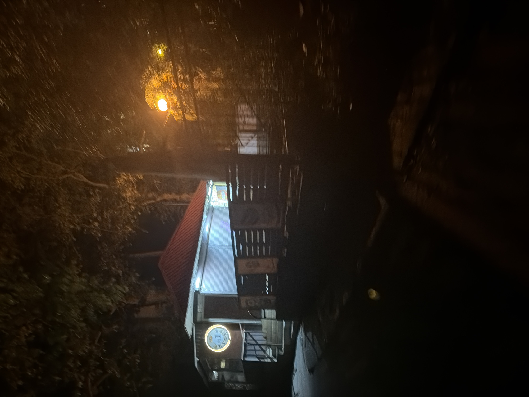 This media file captures a dimly lit nighttime scene of an alleyway or narrow street in Sochi, Russia.
On the left side of the frame, dark, dense foliage, likely trees or bushes, lines the path, partially illuminated by a strong, warm orange streetlamp. This light casts a glow on some of the leaves and the unseen ground below.
To the right, a building is visible, featuring a steep, red corrugated roof at the top. Below the roof, the building's facade is mostly dark, but a section lower down is brightly lit. A prominent, circular, glowing sign with a yellow rim is affixed to this part of the building. The sign clearly displays the white numeral "1" against a dark center, resembling a clock face or a logo. Above and to the right of this sign, architectural elements that appear to be wooden stairs or balconies are vaguely discernible in the shadows. The building itself seems to have vertical panels or slats on its exterior, and some parts are illuminated by a cooler, almost white or bluish light.
The ground in the foreground is dark and indistinct, suggesting a paved or uneven path leading further into the alley. No people or specific activities are visible; the scene is static and quiet, relying entirely on artificial light sources to break the pervasive darkness of the night.