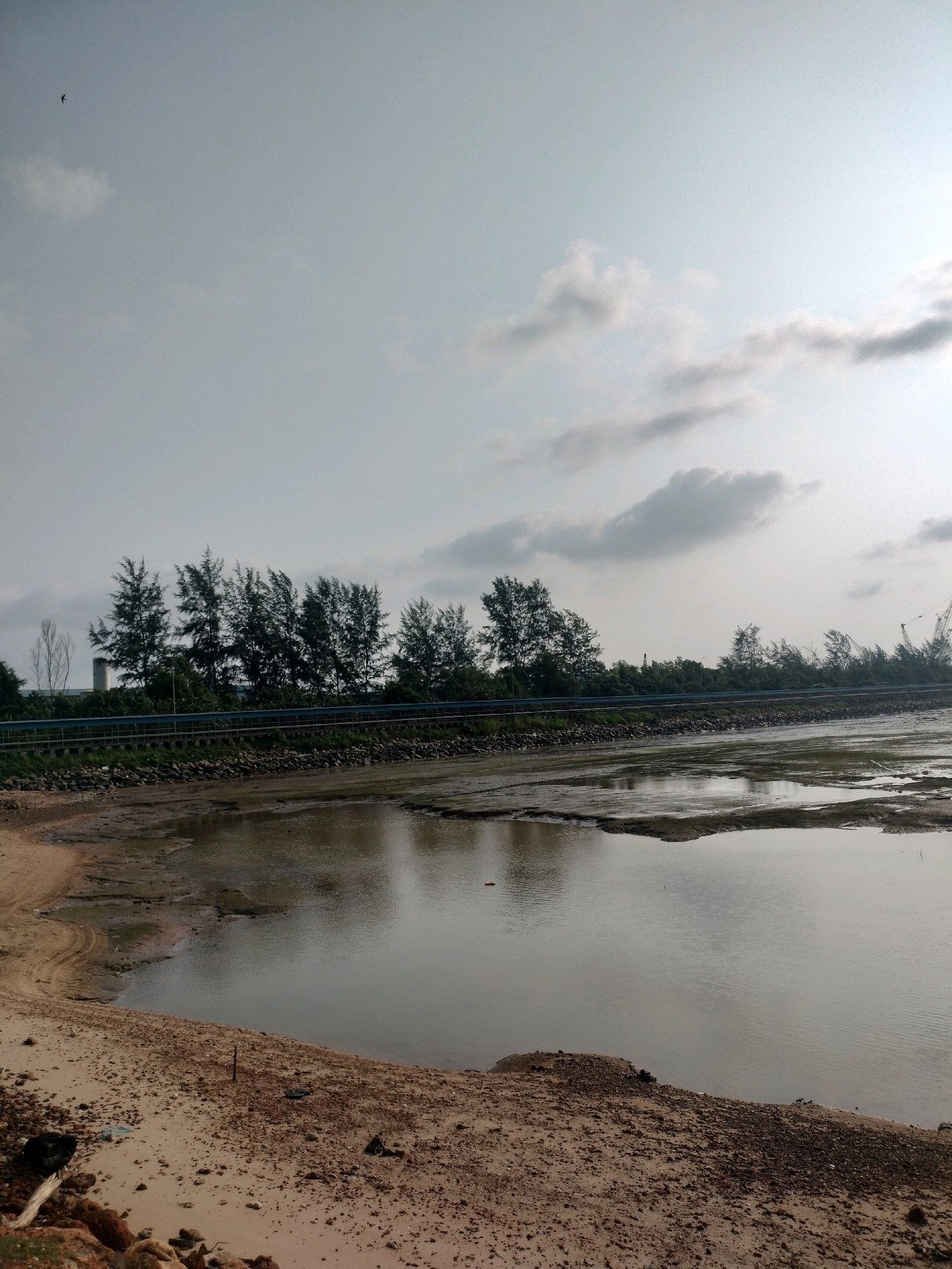 The image depicts a coastal area, likely a mangrove or estuarine environment, with a significant portion of the land exposed due to low tide. The foreground is a sandy beach littered with debris, including small stones and pieces of wood. Beyond the beach, a shallow body of water reflects the overcast sky. The middle ground features a dense line of trees, predominantly casuarinas, growing along a barrier or road. These trees are wind-swept, suggesting a coastal location. In the background, industrial elements are visible, including tall structures and construction cranes, hinting at nearby development or port activity. The sky is filled with scattered clouds, indicating a possibly humid and tropical climate typical of Batam, Indonesia. The overall impression is one of a natural landscape adjacent to industrial infrastructure.