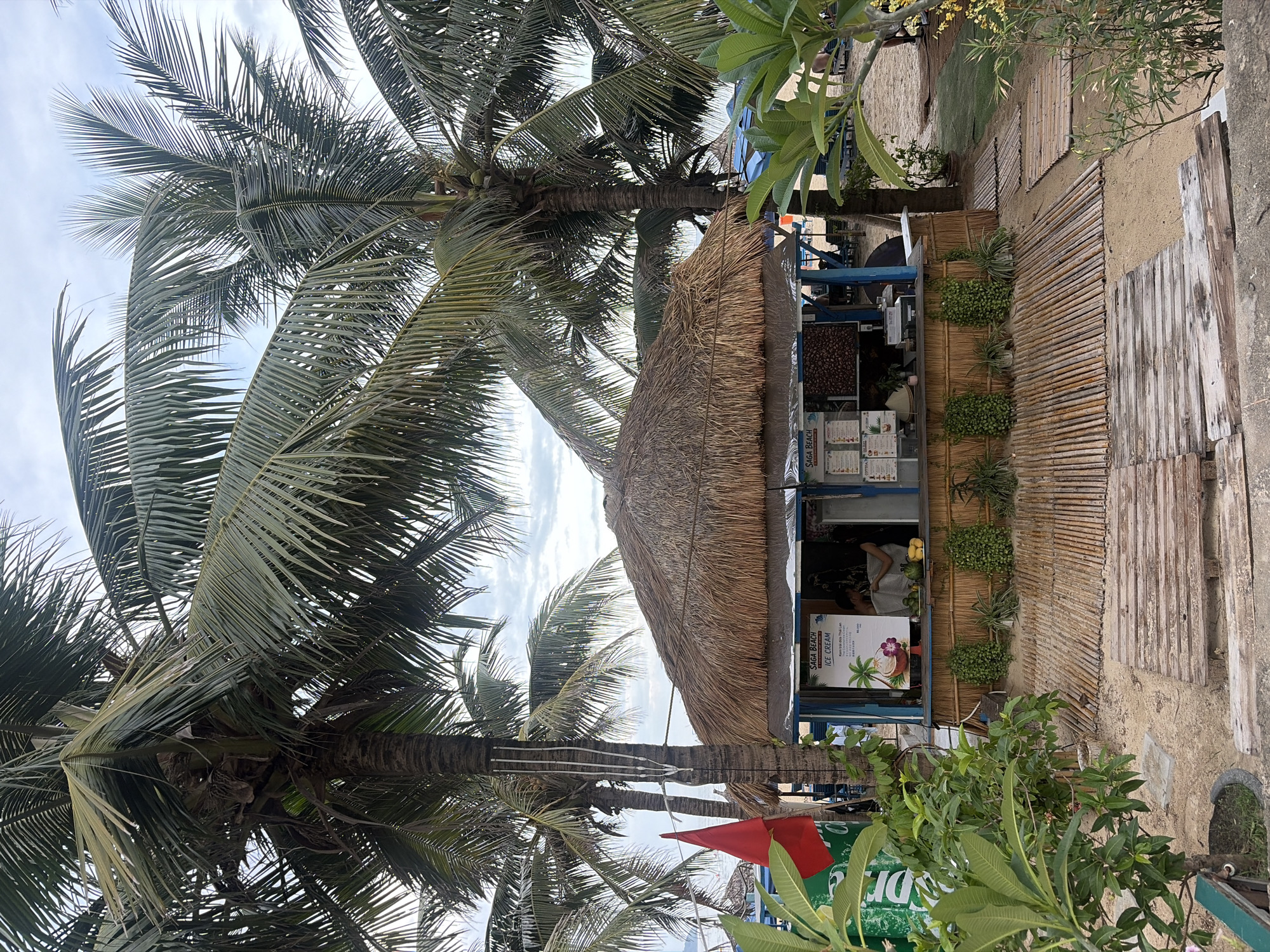 This image depicts a beachside ice cream stand in Da Nang, Vietnam. The stand, constructed with a thatched roof and bamboo siding, is situated on a sandy beach, with palm trees providing shade. A sign on the stand reads "SAGA BEACH ICE CREAM." In the background, beach chairs and umbrellas suggest a recreational area. The overall scene conveys a relaxed, tropical atmosphere.