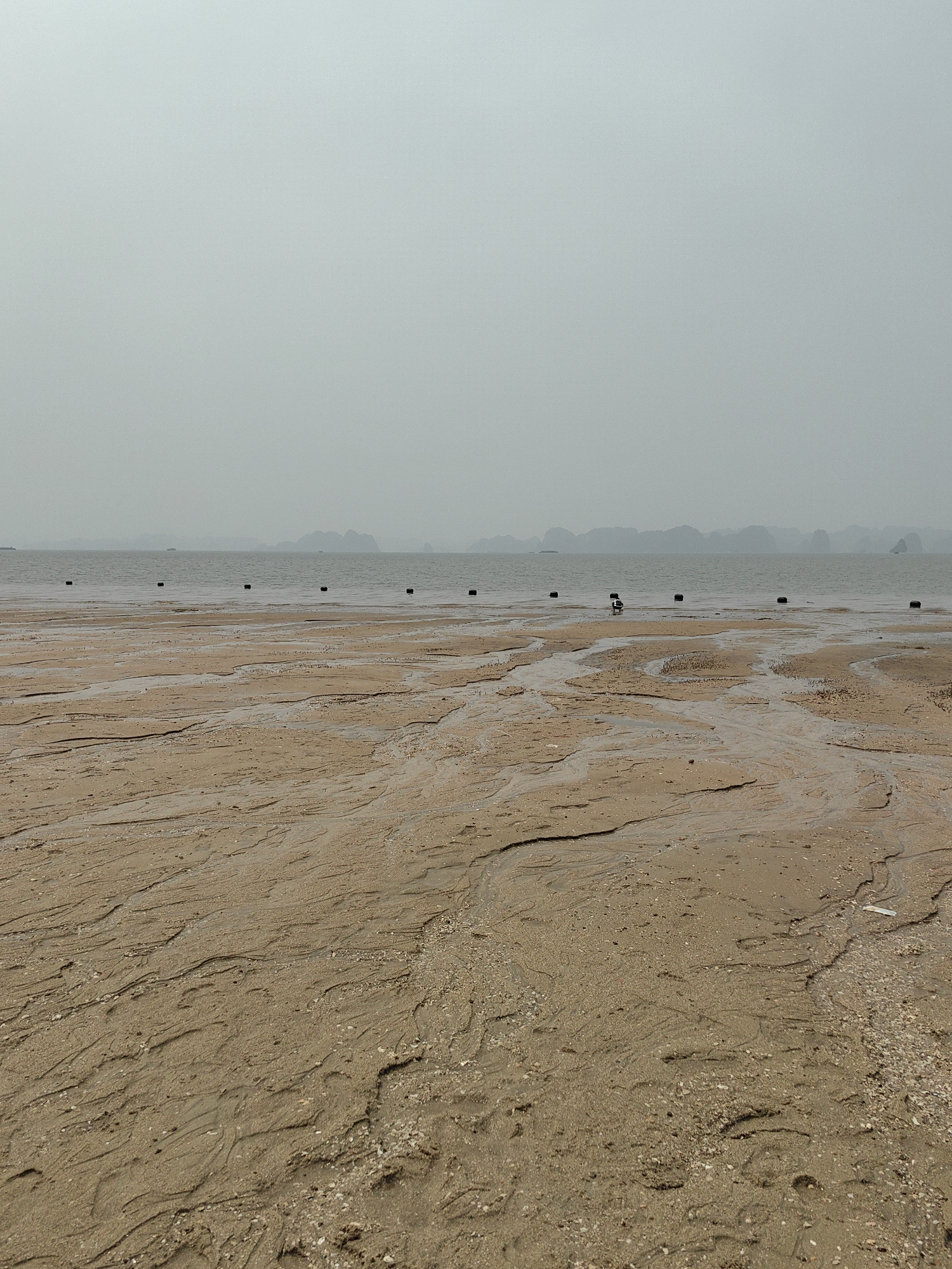 This image depicts a coastal scene in Bai Chay Ward, Vietnam, during overcast weather. In the foreground, there is a muddy beach with patterned rivulets and scattered shell fragments. The beach transitions into shallow water with a row of evenly spaced, dark, cylindrical objects (possibly buoys or markers) extending across the frame. In the middle ground, a small silhouette of a person appears to be interacting with a small device with three wheels, and the sea stretches toward the horizon. In the background, the horizon is obscured by a grey sky, and the silhouettes of islands or land formations are visible.