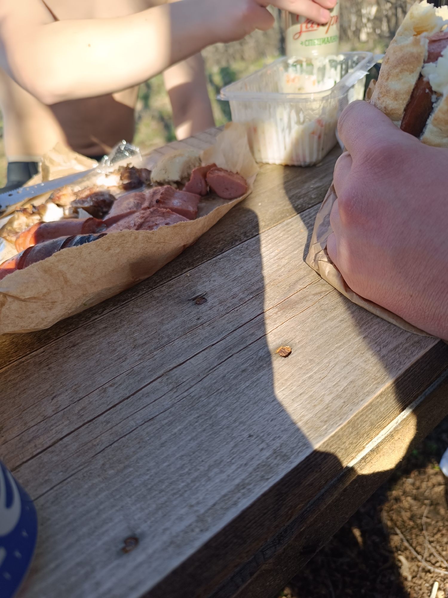 A picnic scene unfolds on a weathered wooden table, likely outdoors. Various prepared foods are spread across the table, including sliced sausages, grilled meat, and bread in a brown paper. A plastic container of potato salad is visible, next to a jar labelled "+СПЕЦИАЛНА". A person holds a sandwich in their hand. Another person is partly visible, shirtless. The location cannot be determined based on this image alone.