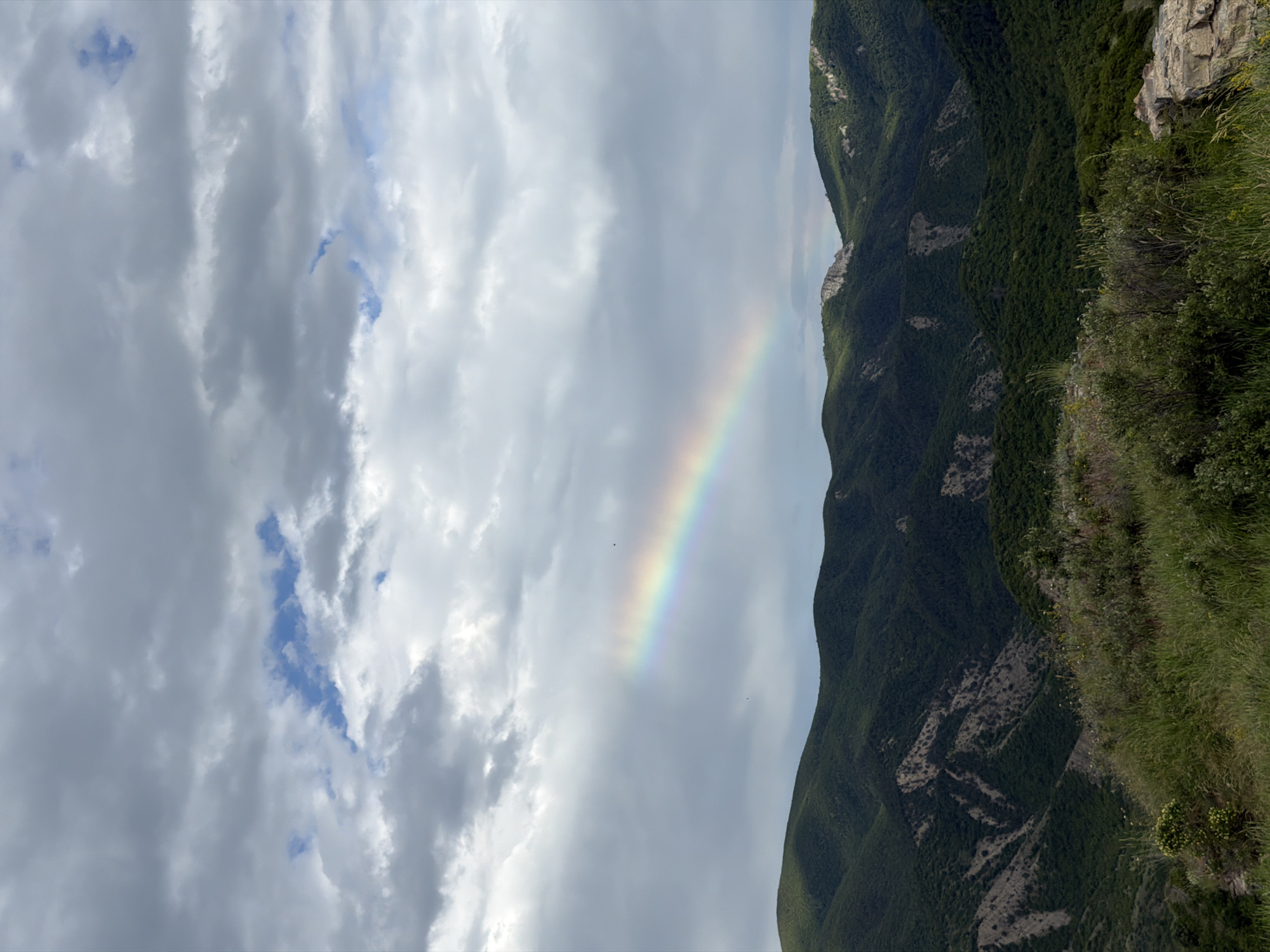 The image depicts a landscape with a prominent rainbow arching across a cloudy sky. The left side of the frame is dominated by thick, grey and white clouds, with glimpses of blue sky peeking through. A vibrant rainbow, displaying a spectrum of colors, is visible in the center of the sky, subtly illuminated against the overcast backdrop.
On the right side of the image, a lush, green mountainside slopes downwards. The mountain is densely covered with trees, suggesting a forested area. Some rocky outcrops and patches of lighter-colored terrain are interspersed within the greenery, indicating varied geological features. The foreground of the mountain slope is adorned with wild grasses and some shrubs, some of which have small yellow flowers. The overall scene conveys a sense of natural beauty and tranquility.
The time of day appears to be daytime, likely late afternoon or evening given the lighting conditions and the presence of the rainbow, which often appears after rain when the sun is low in the sky. The weather seems to be transitioning from rainy to clearing, with dramatic cloud formations and the appearance of a rainbow. The location is identified as Ateni, Georgia. There are no people or objects of human construction visible in the frame, focusing solely on the natural elements of the landscape. The emotions evoked are those of awe and wonder at the natural phenomenon. No text is visible in the image.