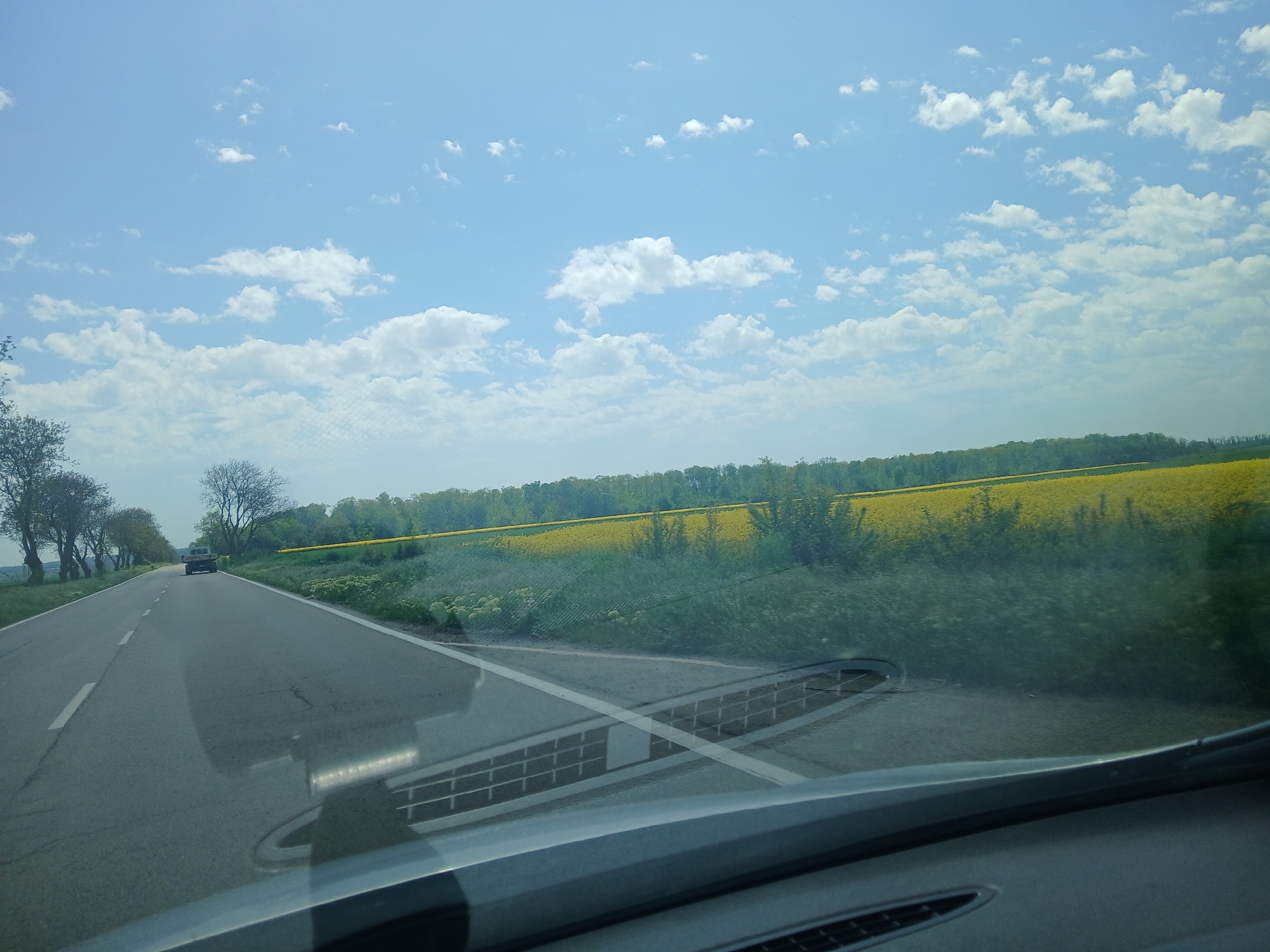 The scene is a view from inside a vehicle traveling on a paved road, likely in the vicinity of Stefanovo, Bulgaria, given the geotagging information. The road stretches ahead, with a gray car visible in the distance along the same lane. To the right of the road, there is a field of yellow flowers, possibly rapeseed, extending to a line of trees in the background. The sky is blue with scattered white clouds. The vehicle's dashboard is visible in the lower portion of the frame. The weather appears sunny.