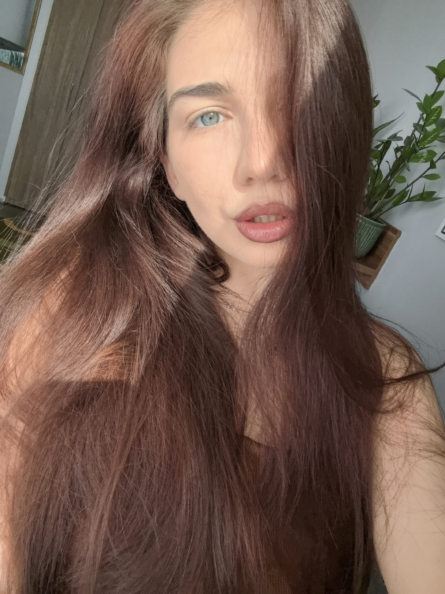 A close-up portrait captures a person with long, flowing reddish-brown hair, styled to partially obscure their face. The subject's left eye, a striking blue, is clearly visible and gazes directly at the viewer. Their lips are slightly parted, revealing a hint of teeth. Strong, natural sunlight illuminates the scene, casting distinct shadows across the hair and face, indicating it is daytime, likely morning or late afternoon.
In the background, to the left, a glimpse of a wooden surface, possibly a door or cabinet, can be seen. To the right, a small green potted plant rests on a wooden shelf against a light grey wall. These details suggest an indoor setting, likely a home in Stara Zagora, Bulgaria. The image emphasizes the person's features and the texture of their hair under the dramatic natural lighting. No text is visible in the image.