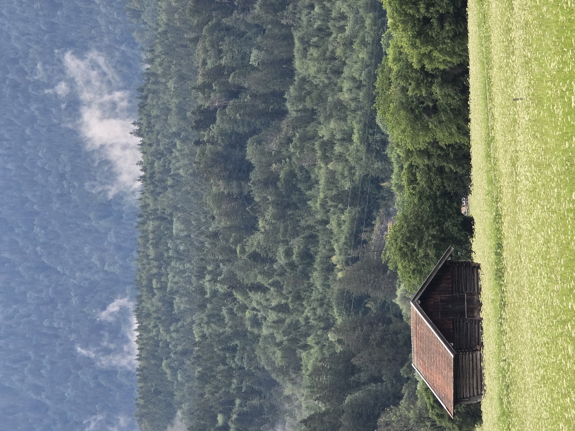 The image depicts a landscape scene with a small wooden barn situated in a field of light-colored flowers, likely wildflowers. The barn has a dark wood exterior and a reddish-brown tiled roof. Behind the field, a dense forest of green trees covers a hillside. Further in the background, a hazy, blue mountain range is visible, with a few wisps of white clouds against the sky. The lighting suggests it is daytime, possibly late afternoon, given the soft light and shadows. The overall atmosphere is serene and natural, conveying a sense of rural tranquility. The location is identified as Garmisch-Partenkirchen, Germany, which aligns with the mountainous and forested terrain. No people, text, or specific activities are evident in the image.