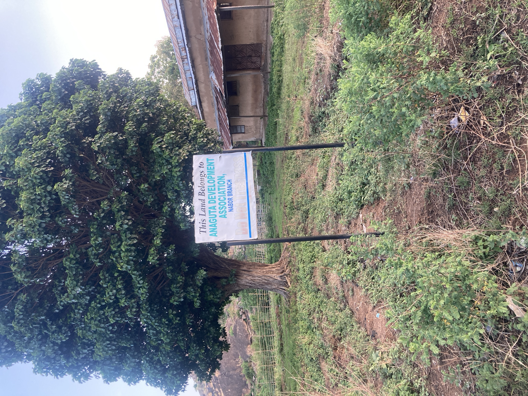 The image shows a sign that reads, "This Land Belongs to ANAGUTA DEVELOPMENT ASSOCIATION, NABOR BRANCH." The sign is located near a large tree and overgrown vegetation. In the background, there is a building with a corrugated metal roof. The location is likely in Jos, Nigeria, based on the sign's text. The scene appears to be a plot of land on a hillside that has a building on it.