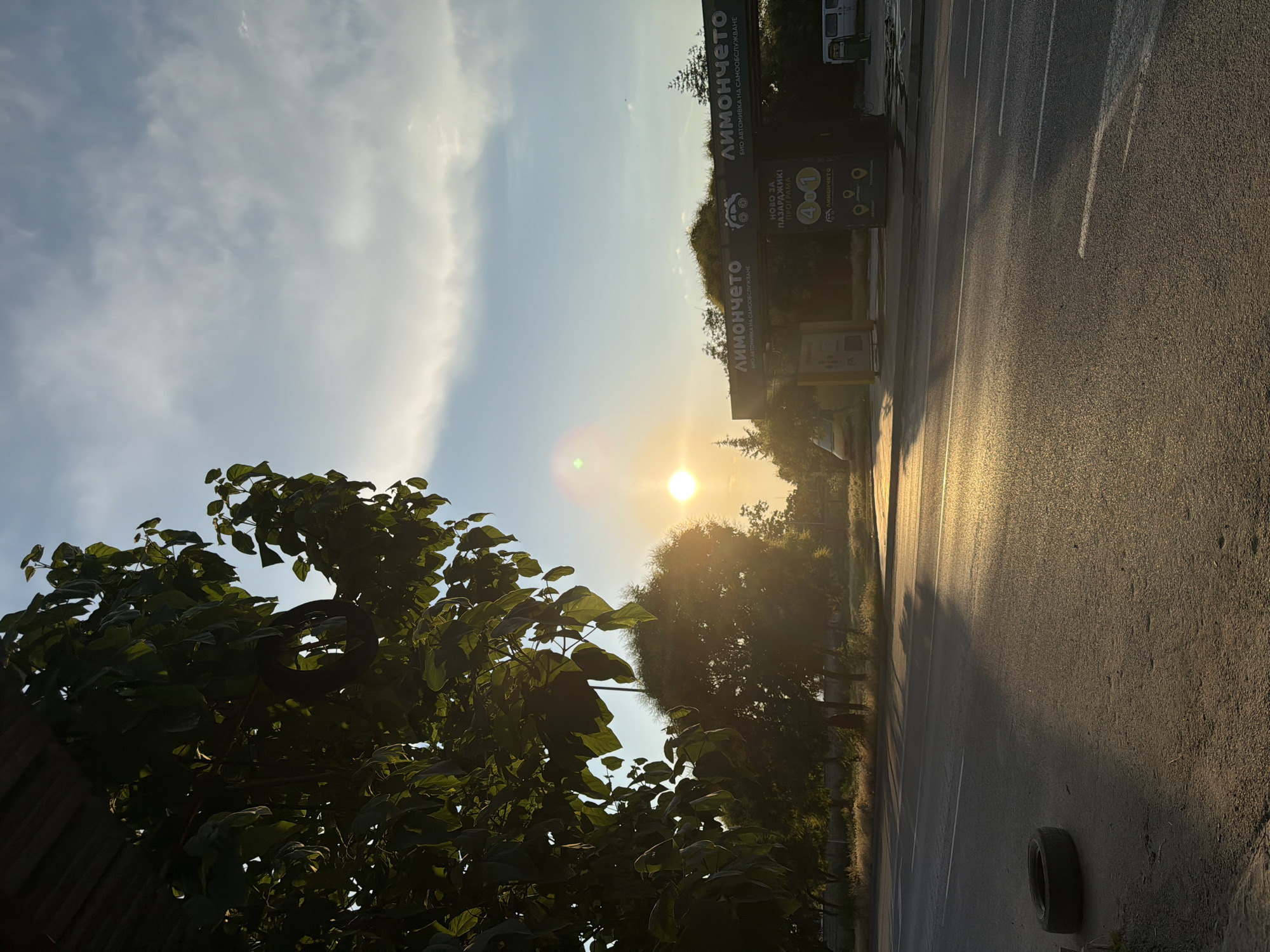 The image captures a street scene in Pazardzhik, Bulgaria, at sunrise. A large tree with dark green leaves dominates the left side of the frame, partially obscuring the sky and the sun, which appears as a bright, glowing orb slightly off-center to the right. The sunlight casts long shadows across the asphalt road, creating a dramatic effect. In the background, there is a structure with a sign that reads "ЛИМОНЧЕТО" (Limoncheto), which is a self-service car wash. Next to it, a white van is parked. The road itself appears to be a multi-lane thoroughfare. A single tire lies on the shoulder of the road, to the left and in the foreground. The sky is a gradient of blue, with wispy white clouds, indicating the early morning hours. The overall atmosphere is serene, with the warm light of the rising sun illuminating the scene.