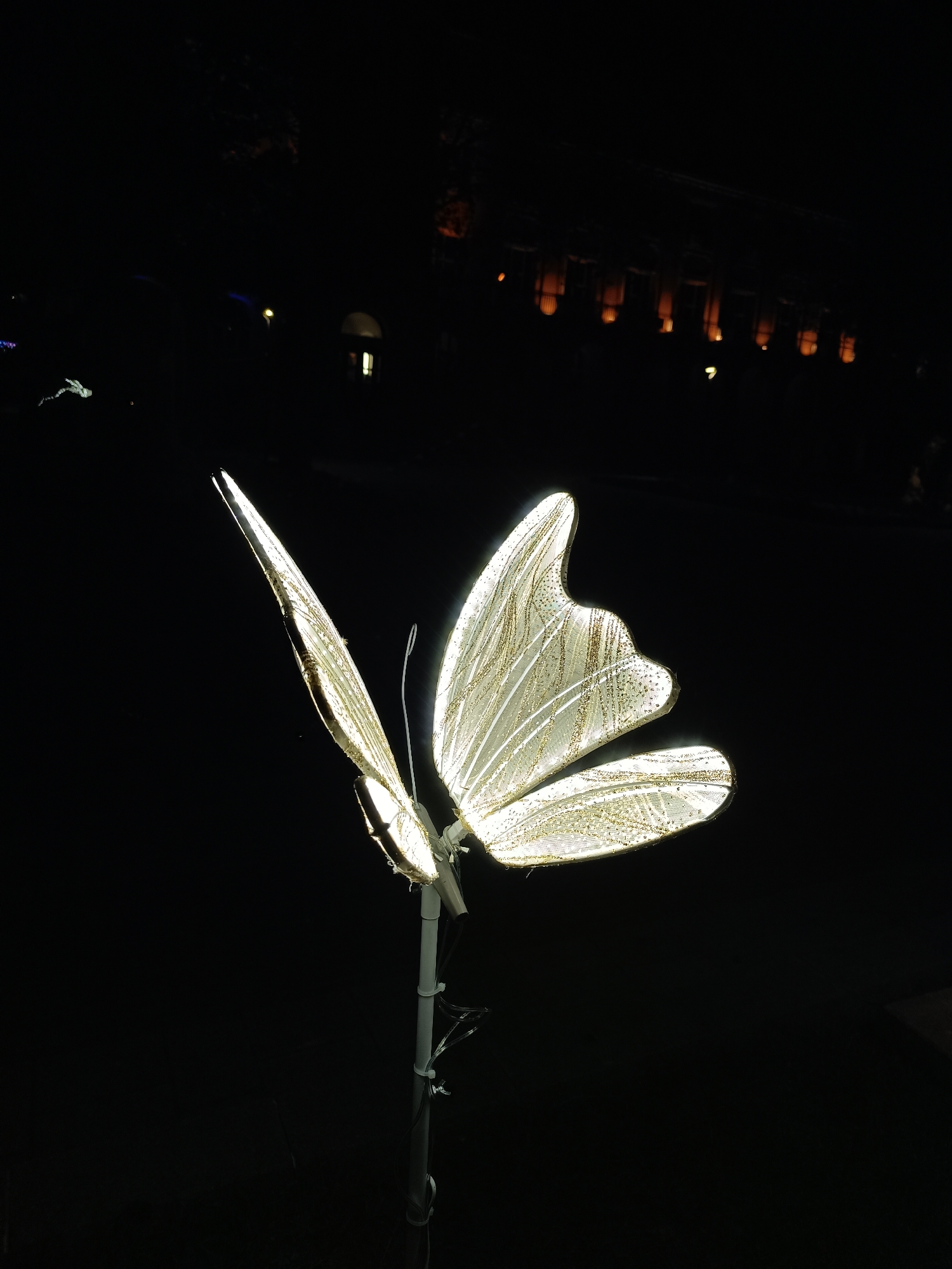 An illuminated butterfly sculpture stands prominently in the foreground against a dark night backdrop. The sculpture is made of a translucent, light-colored material, possibly fabric or plastic, adorned with shimmering golden lines or glitter on its wings. It emits a bright, warm light from within, illuminating its intricate details. The butterfly is mounted on a slender white pole, with some visible wires attached.
In the background, subtle architectural elements and distant lights emerge from the darkness. These appear to be from a building, possibly with columns and illuminated windows or archways, suggesting an urban or park setting for a light display. Another faint, blurry illuminated object is visible in the distance. The scene indicates an outdoor light exhibition or festival taking place at night. There are no people or discernible text visible in the image.