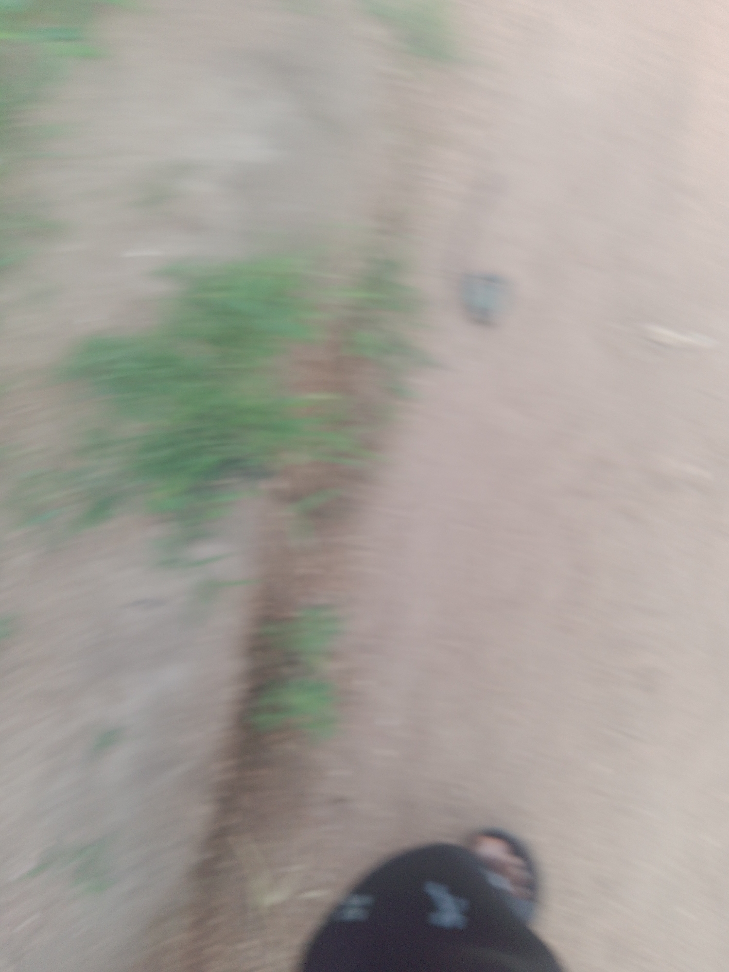The image, captured in Jauro Yinu, Nigeria, depicts a person's lower legs and feet, as well as a dirt path with sparse green vegetation. The perspective suggests the person is in motion, likely walking, as indicated by the motion blur. One foot is visible wearing a dark sandal with a light-colored sole. The other leg is clad in dark clothing, possibly pants. The ground is predominantly a light brown dirt, with streaks of green vegetation present on the left side of the frame, suggesting a rural or semi-rural environment. The overall quality of the image is low due to motion blur and a lack of sharp focus.