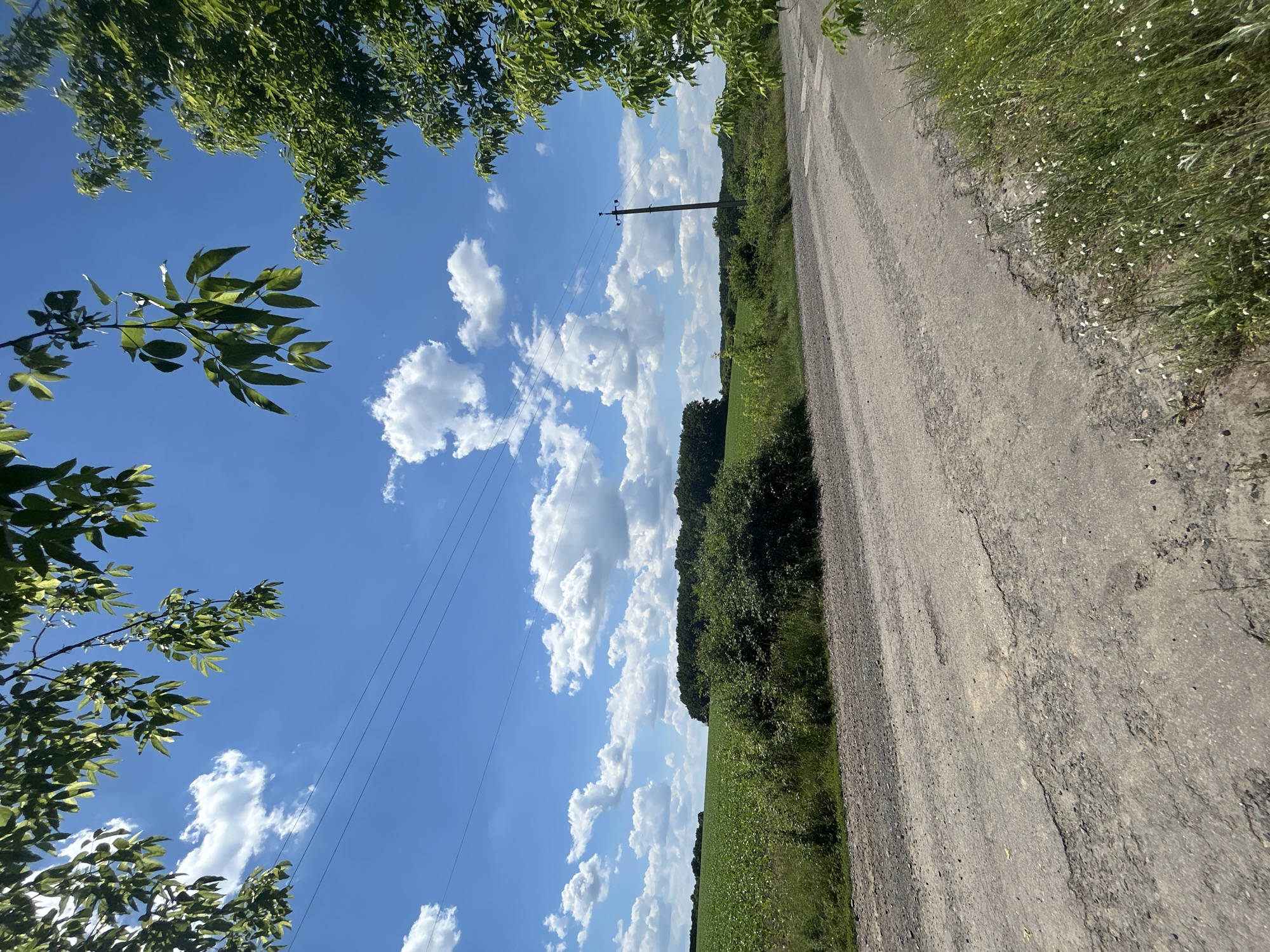The image depicts a rural landscape on a sunny day, likely in the vicinity of Velykyi Trostianets, Ukraine. A rough, unpaved road dominates the foreground, showing signs of wear and tear with cracks and exposed stones. To the left of the road, a vast green field stretches towards the horizon, possibly a cultivated crop. A dense line of trees forms a dark barrier in the middle distance, separating the field from the sky. In the background, a clear blue sky is dotted with fluffy white clouds. A single utility pole with visible wires stands near the right edge of the road, suggesting the presence of electricity or communication lines. Green foliage from trees frames the top and right sides of the image, casting a slight shade. The scene conveys a sense of peaceful, rural life under a bright summer sky. There are no people or animals visible in the image.