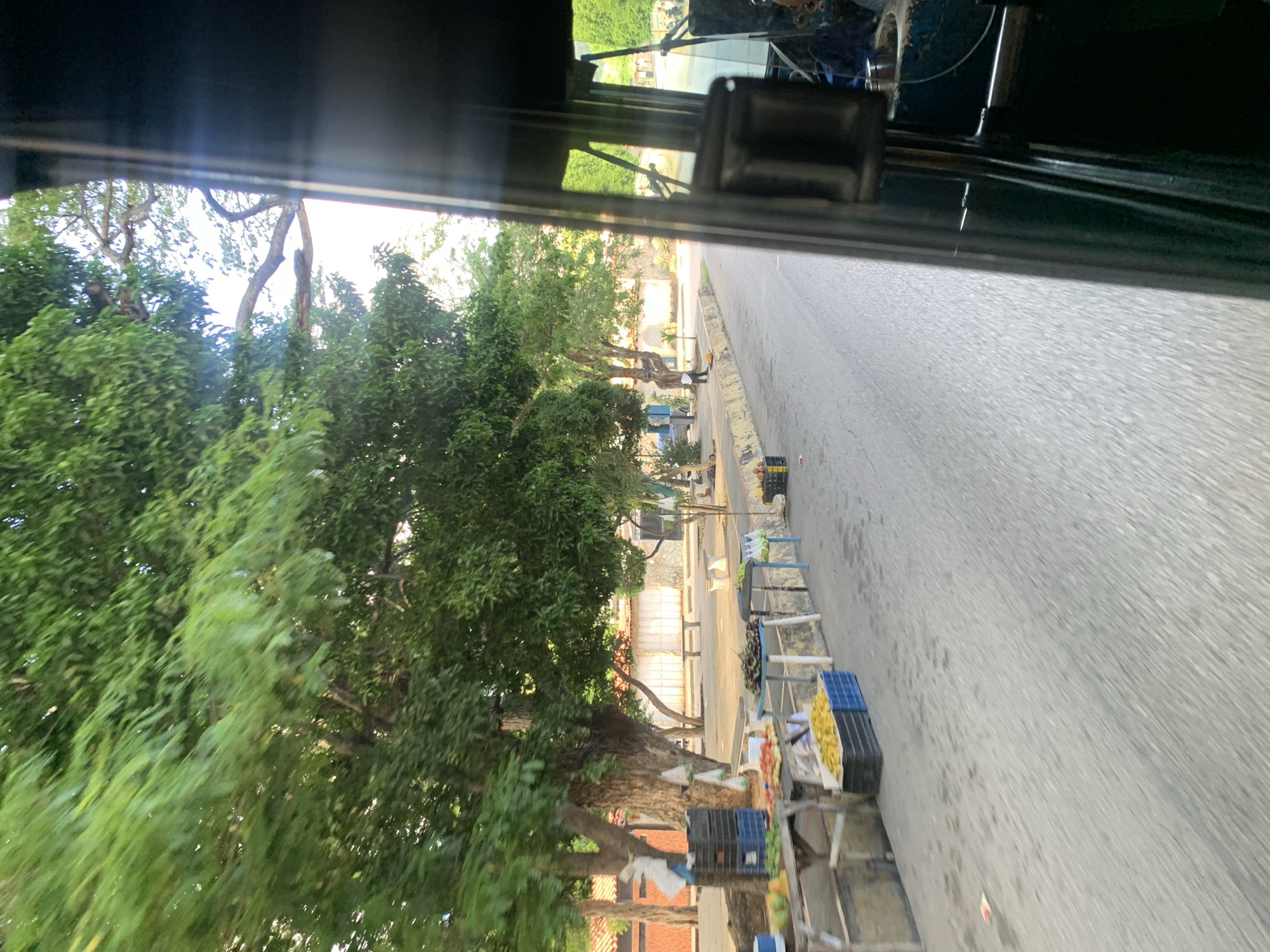 The image depicts a street scene in La Asuncion, Venezuela, as viewed from the interior of a moving vehicle, likely a bus. On the left side of the road, a makeshift market stall displays various fruits and vegetables, including watermelons, tomatoes, and what appear to be yellow fruits in blue crates. Several plastic crates and bags are also visible. Behind the market, large trees with lush green foliage line the street, providing shade. In the background, buildings with red-tiled roofs and white walls are present. A few individuals are seen walking along the street and near the market. The road itself is paved with asphalt and shows some wear. The right side of the image is dominated by the dark interior of the vehicle, including a window frame and parts of seats. The overall impression is of a bright, possibly warm day in a vibrant urban environment.