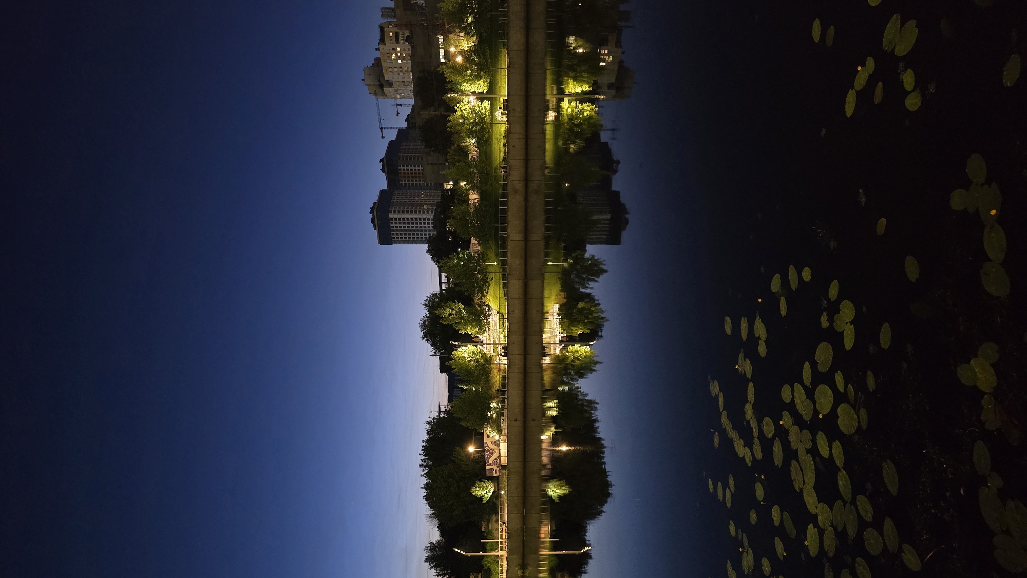 The image depicts a twilight scene along a riverbank in Kyiv, Ukraine. The sky is a deep, clear blue, transitioning to a darker hue at the top. In the background, a cityscape of modern apartment buildings and construction cranes is visible. The middle ground features a tree-lined promenade illuminated by streetlights, with reflections of the lights and trees shimmering on the dark water of the river. The foreground is dominated by the river's surface, which is dotted with lily pads, some of which have small yellow flowers. The overall atmosphere is tranquil and urban.